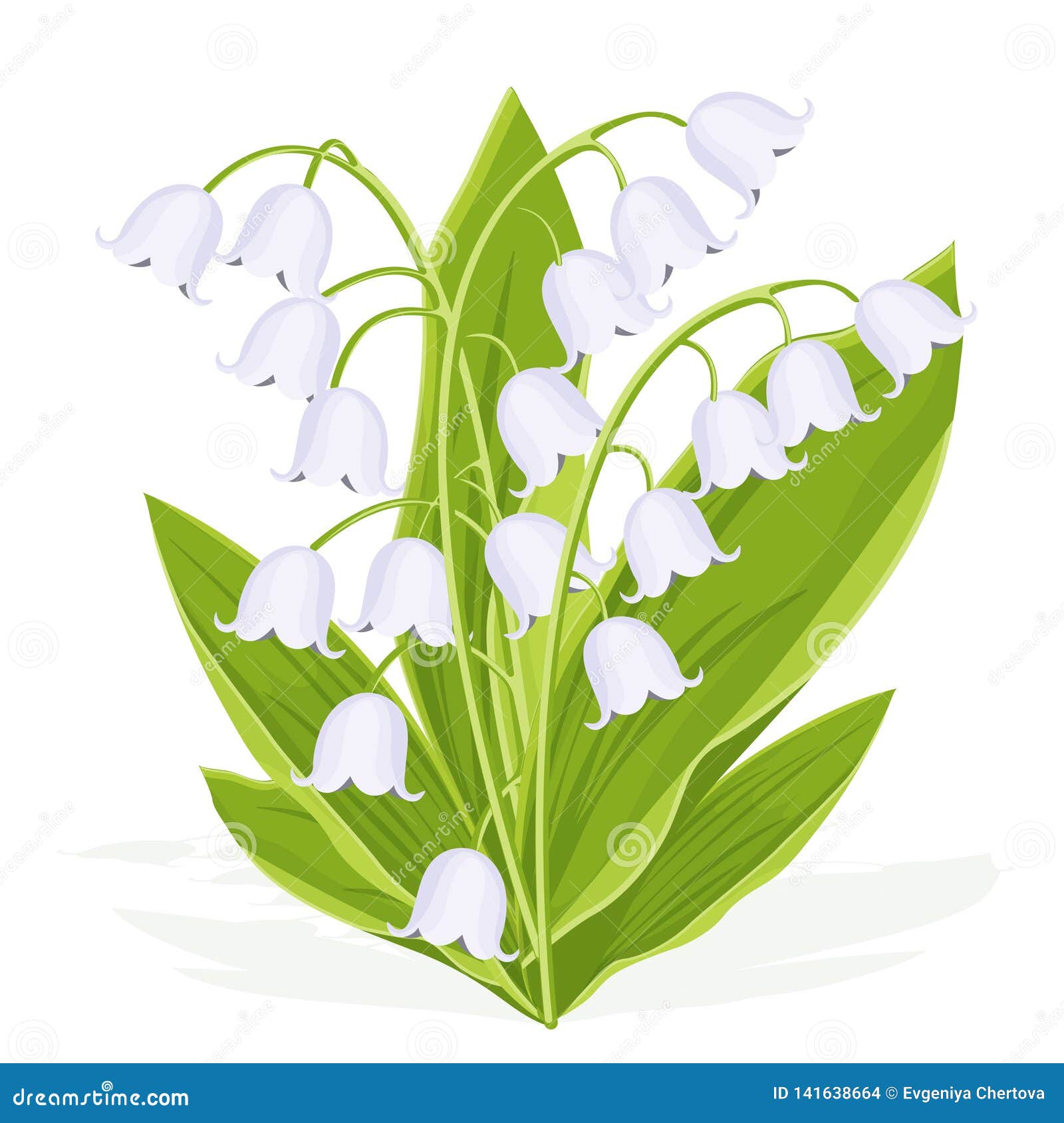 Le Muguet Bouquet De Ressort De Fleur Sensible Illustration De Vecteur Jacinthes Des Bois Blanches De Fleurs De Foret De Bourge Illustration De Vecteur Illustration Du Sensible Fleur