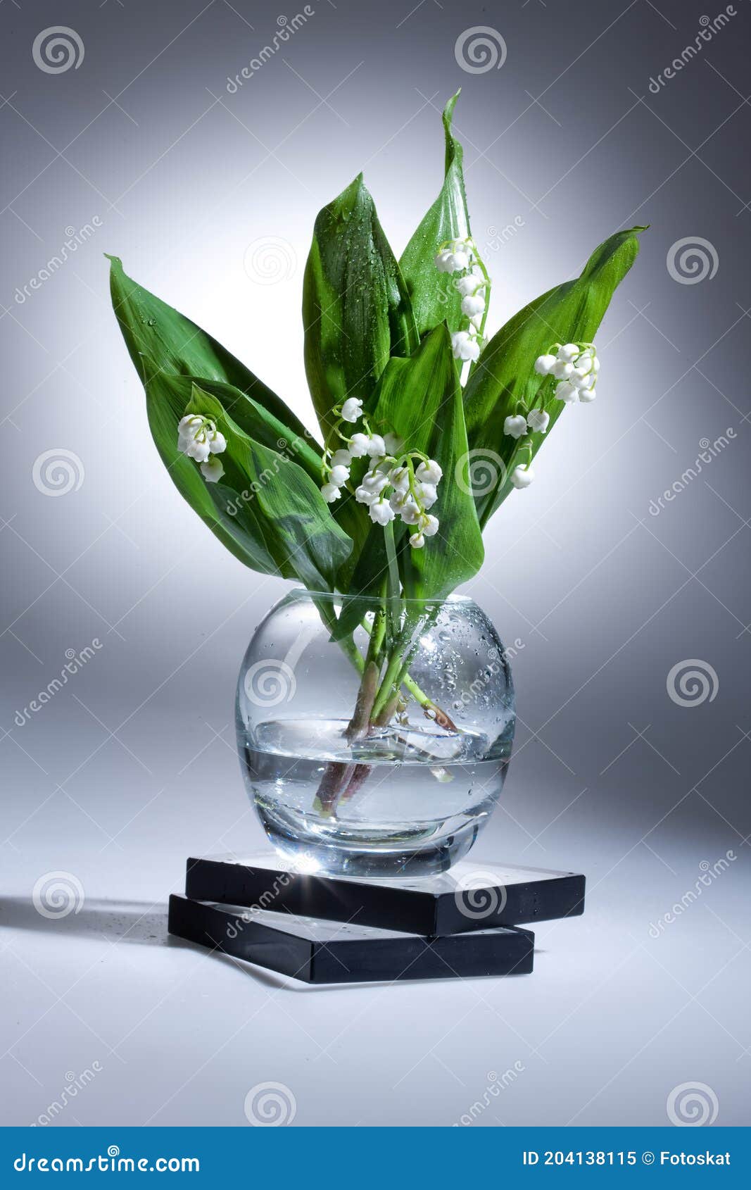 Le muguet image stock. Image du durée, fermer, parfumé 204138115