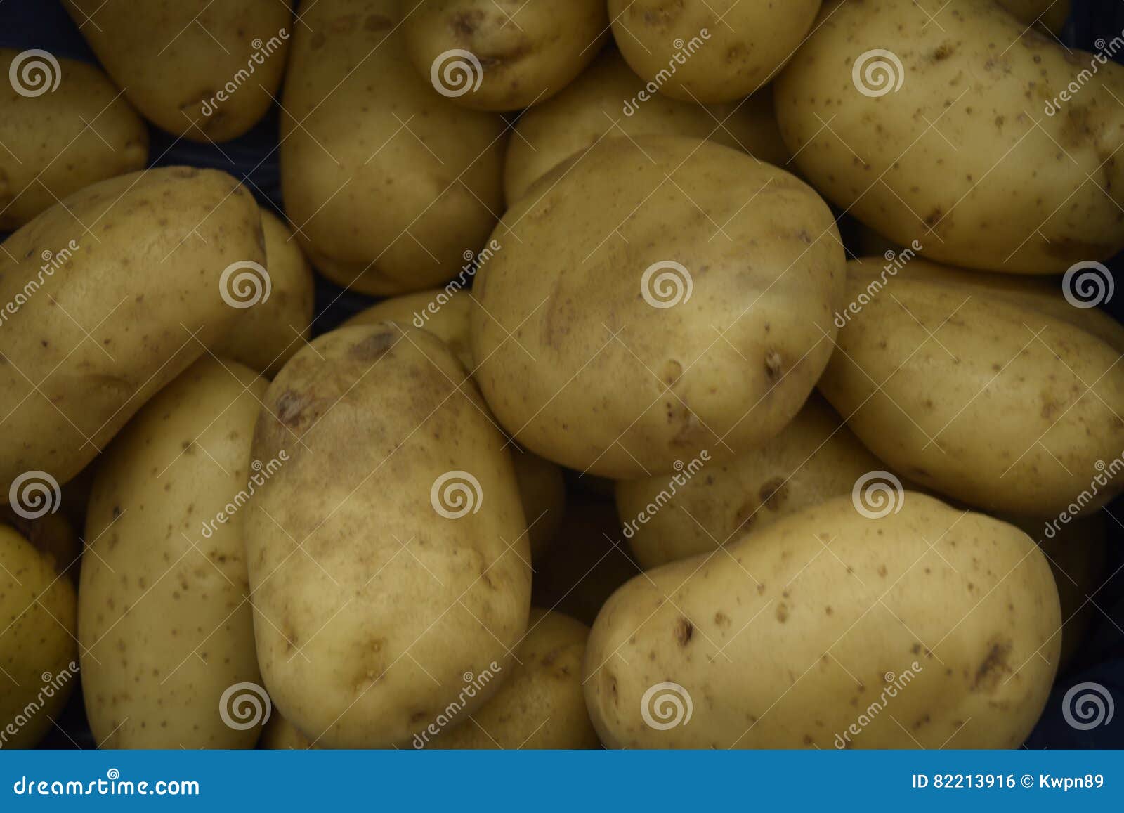 Le patate pulite fresche Prodotti agricoli Una base con finocchio. La patata lavata Tuberi delle patate I prodotti agricoli sono freschi