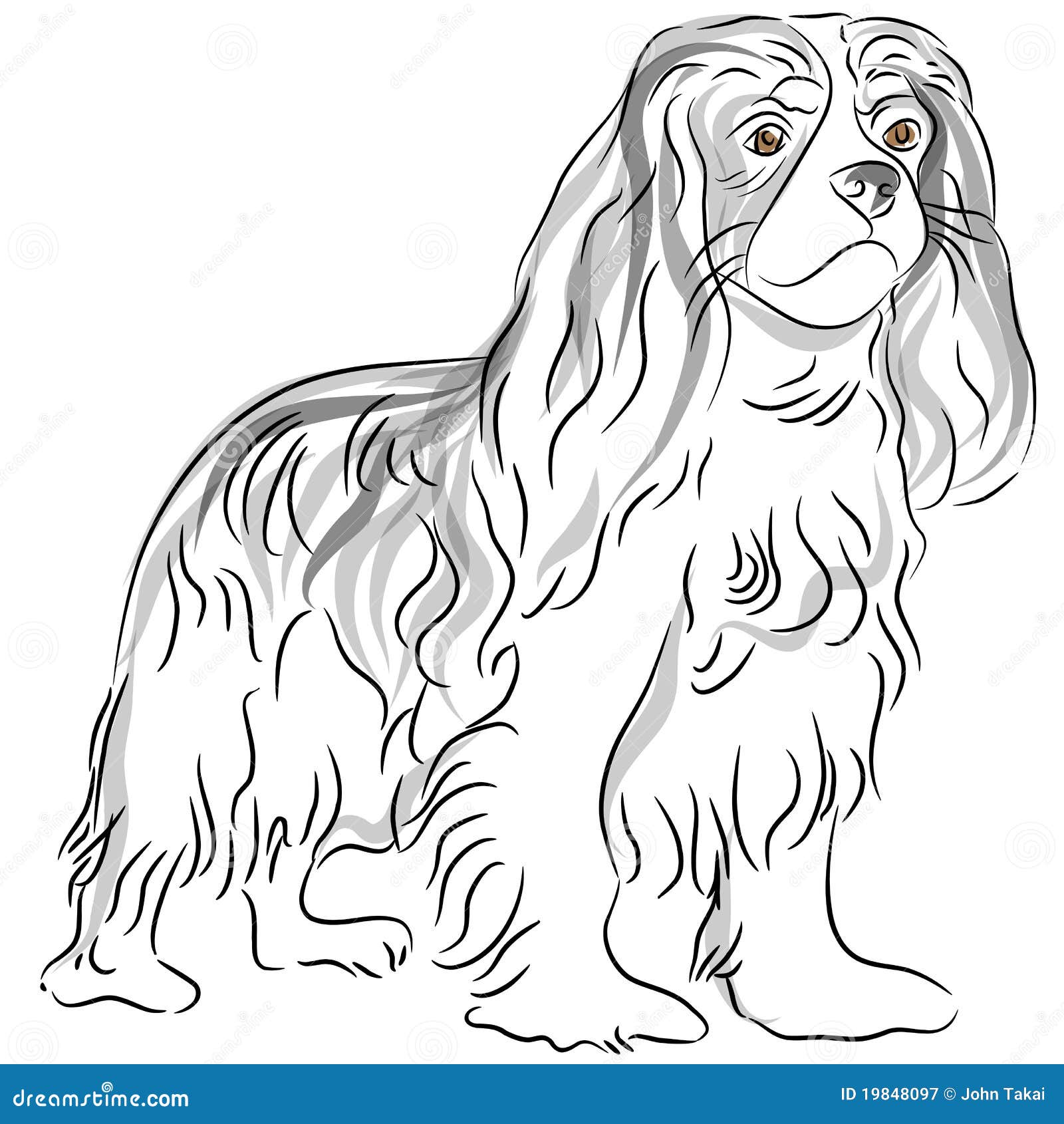 Dessin Cavalier King Charles Facile Le Roi Cavalier Charles Spaniel Drawing Illustration de Vecteur - Illustration du encre, pedigree: 19848097