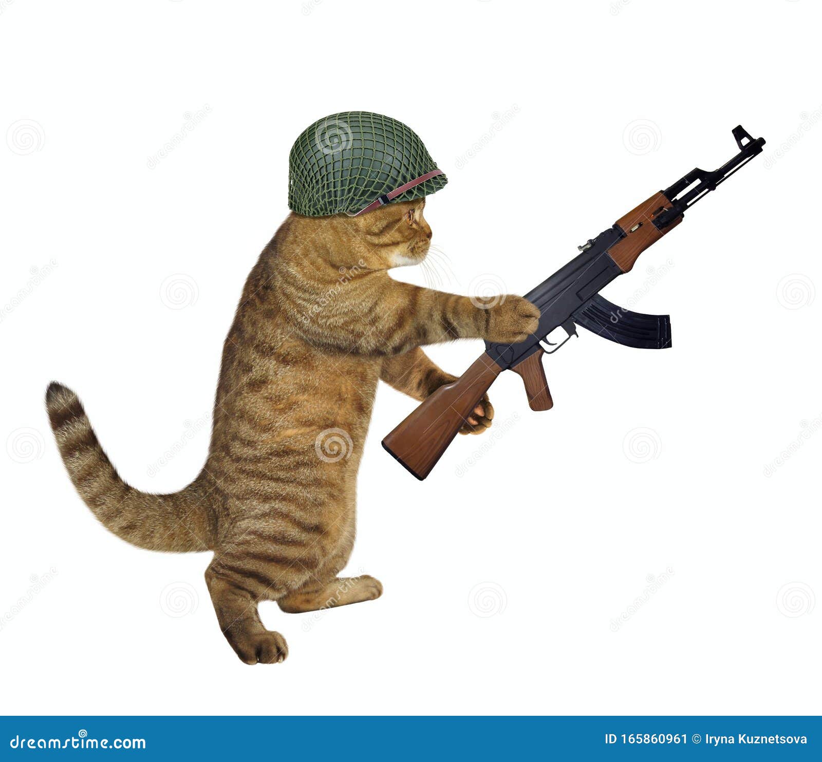 Le Soldat De Chats Tient Une Mitraillette Image Stock Image Du Soldat Tient