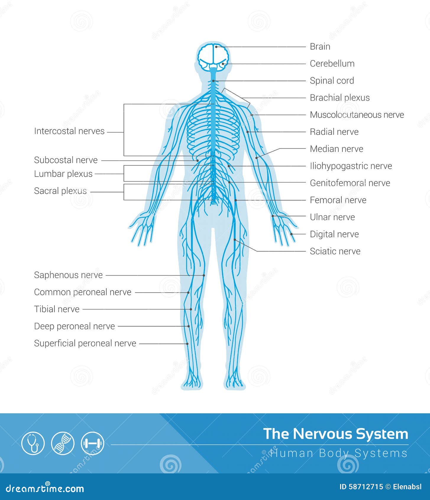 download techniques and concepts of high energy