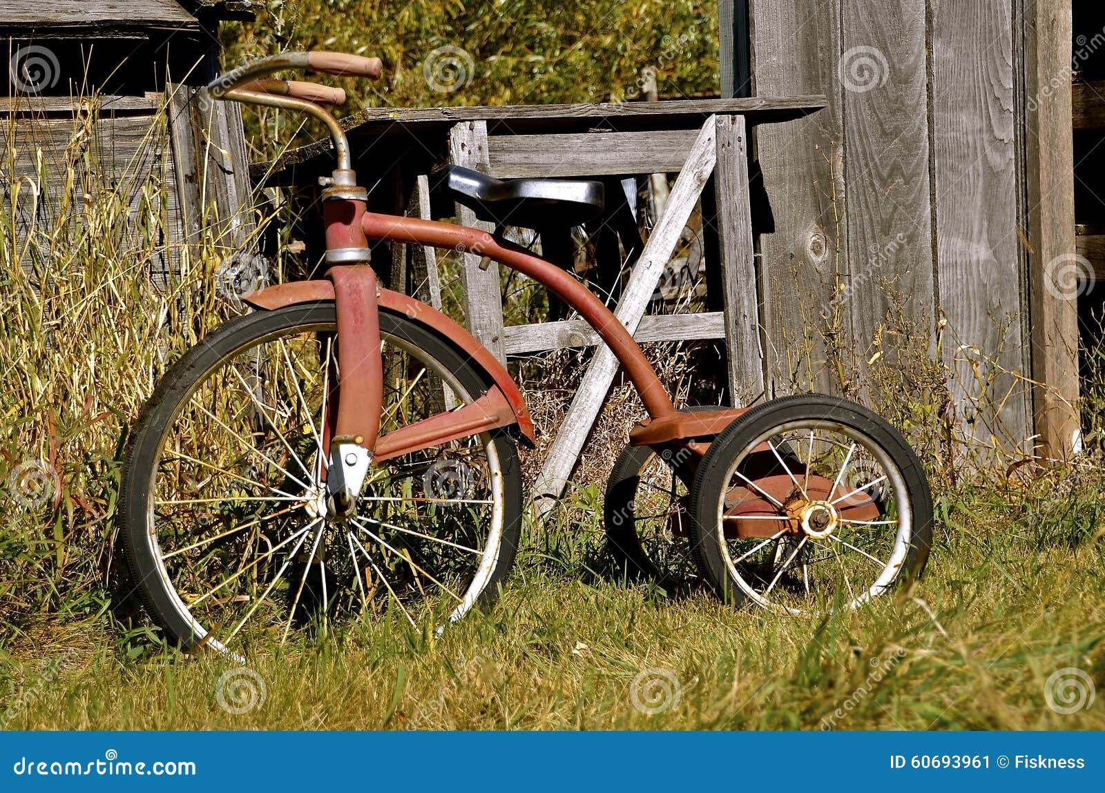 Tricycle pour enfant antique