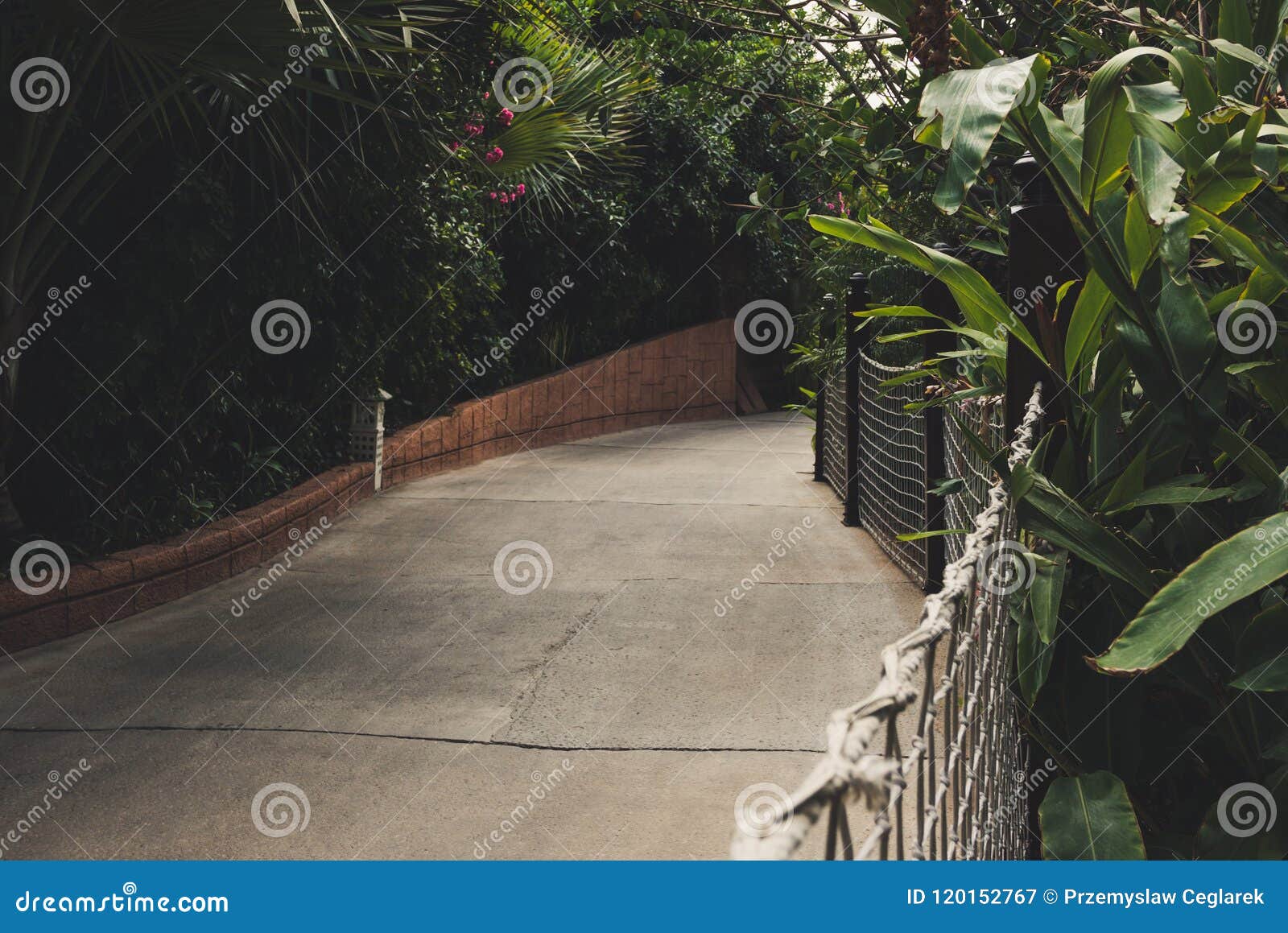 Le Trottoir Vide Parmi La Jungle Fait Du Jardinage Avec Le Filet De Corde  Image stock - Image du asiatique, normal: 120152767