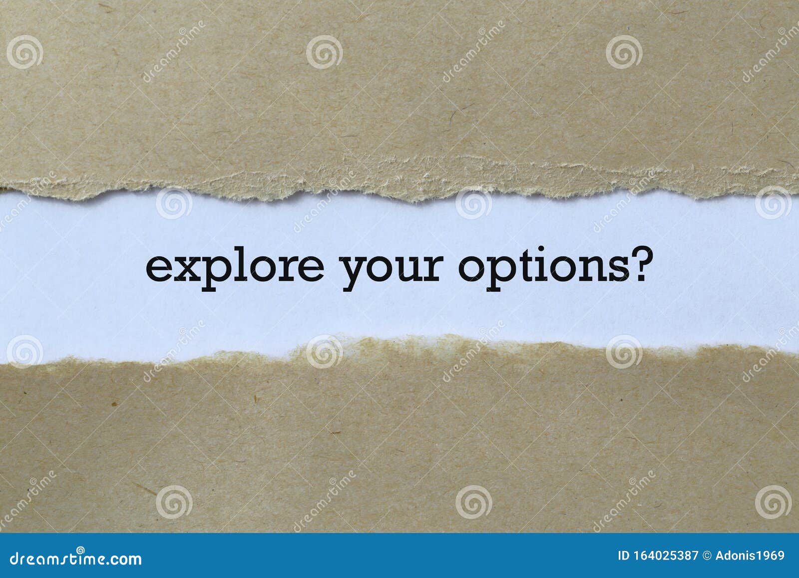 explore your options
