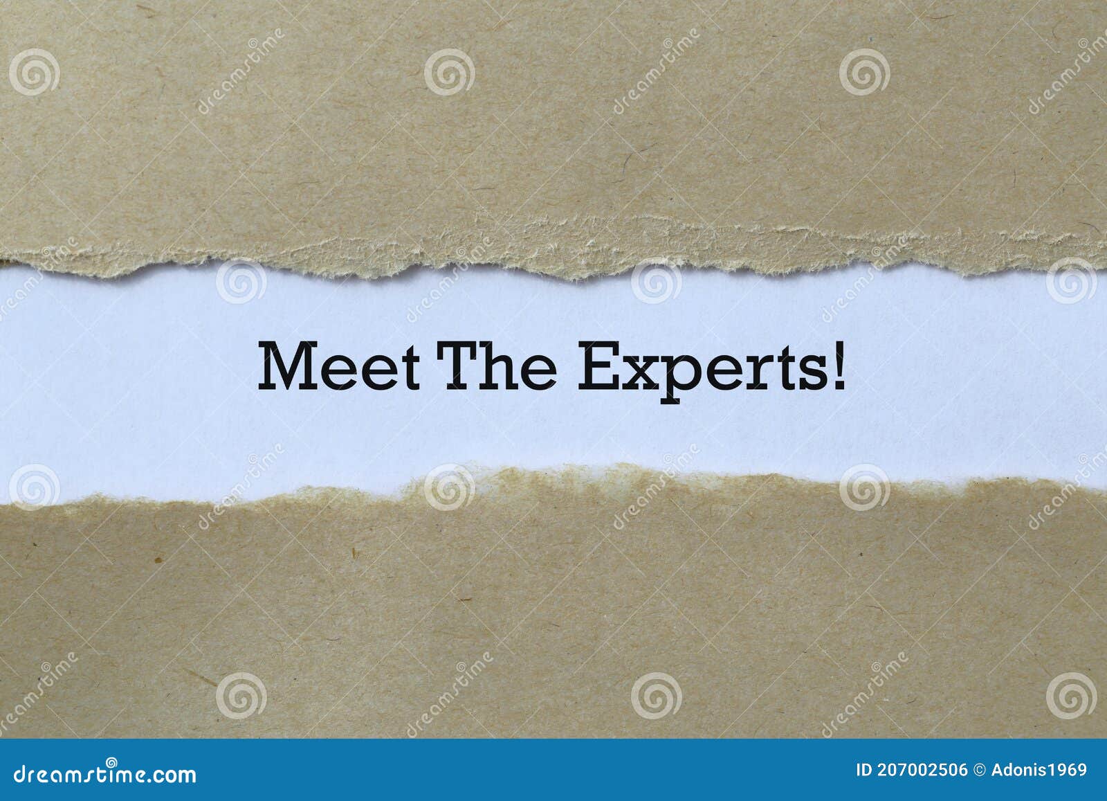 meet the experts on paper