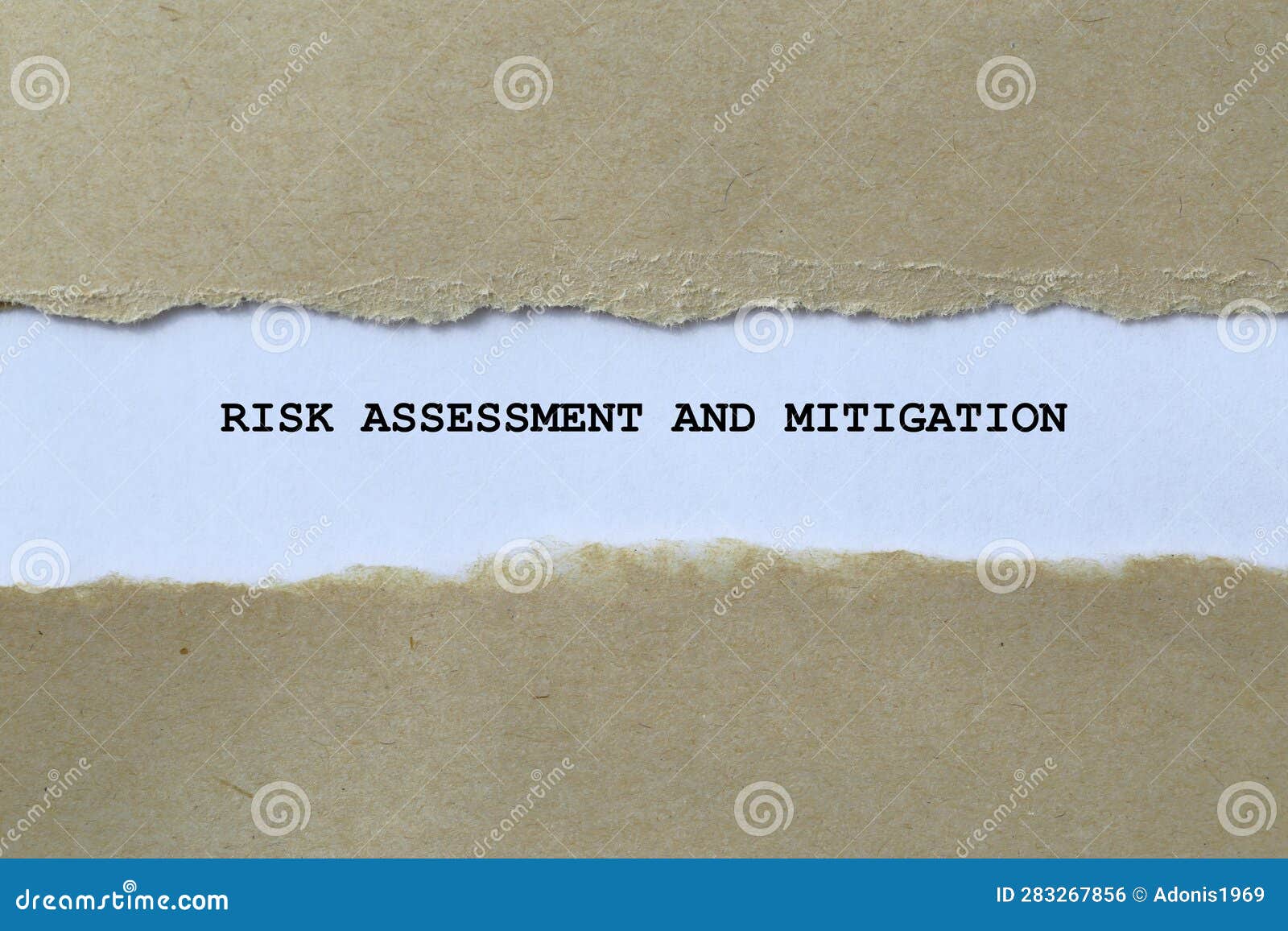 risk assessment and mitigation on white paper