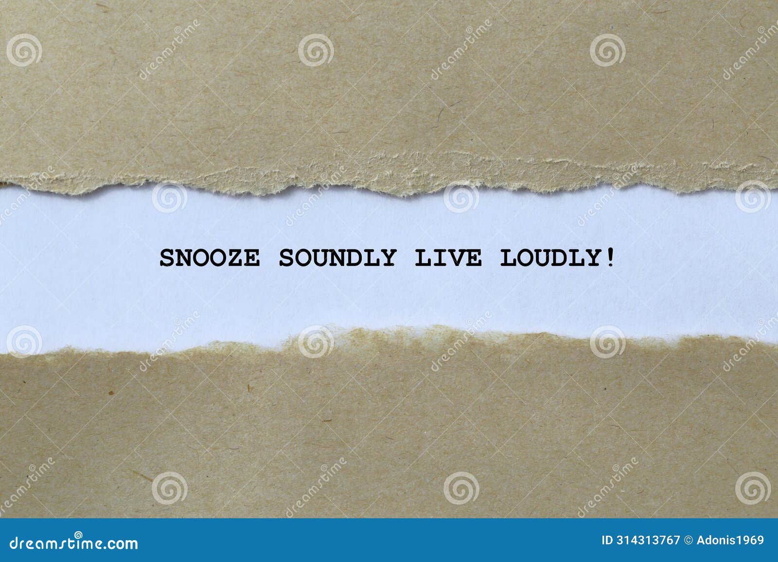 snooze soundly live loudly on white paper