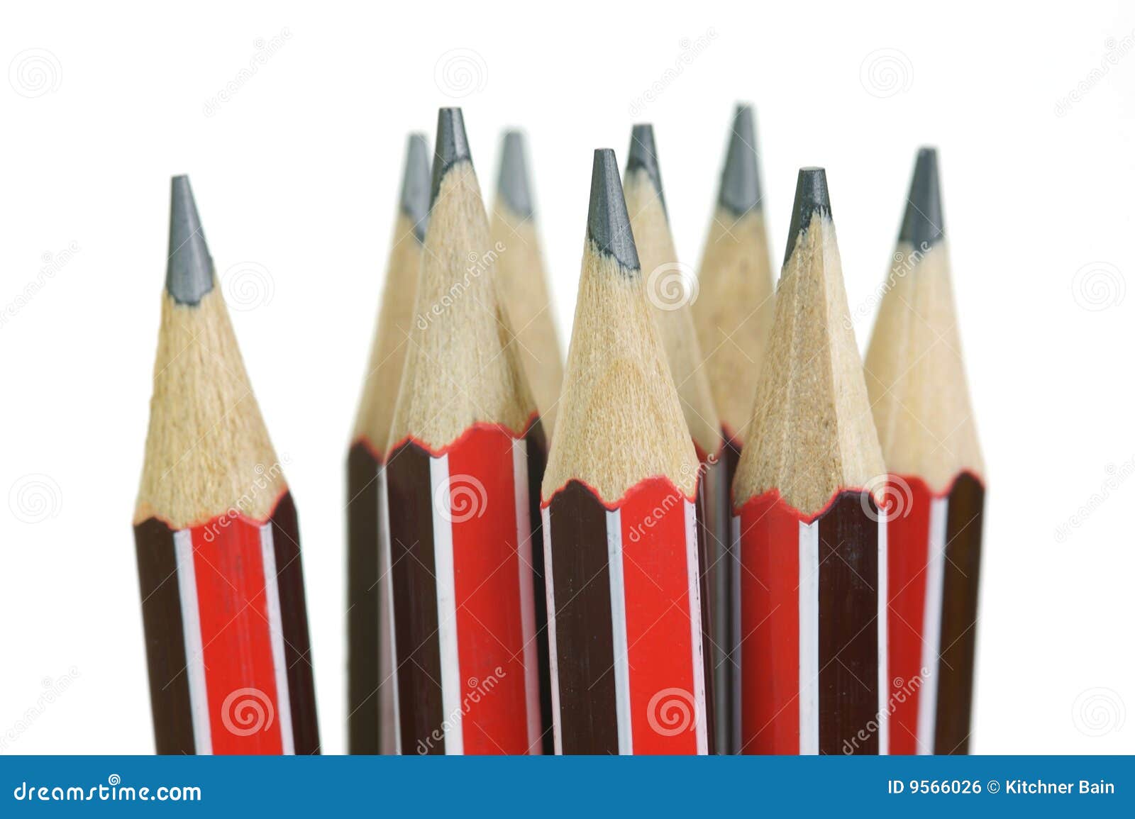 Lead Pencils stock photo. Image of stationery, pencil 9566026