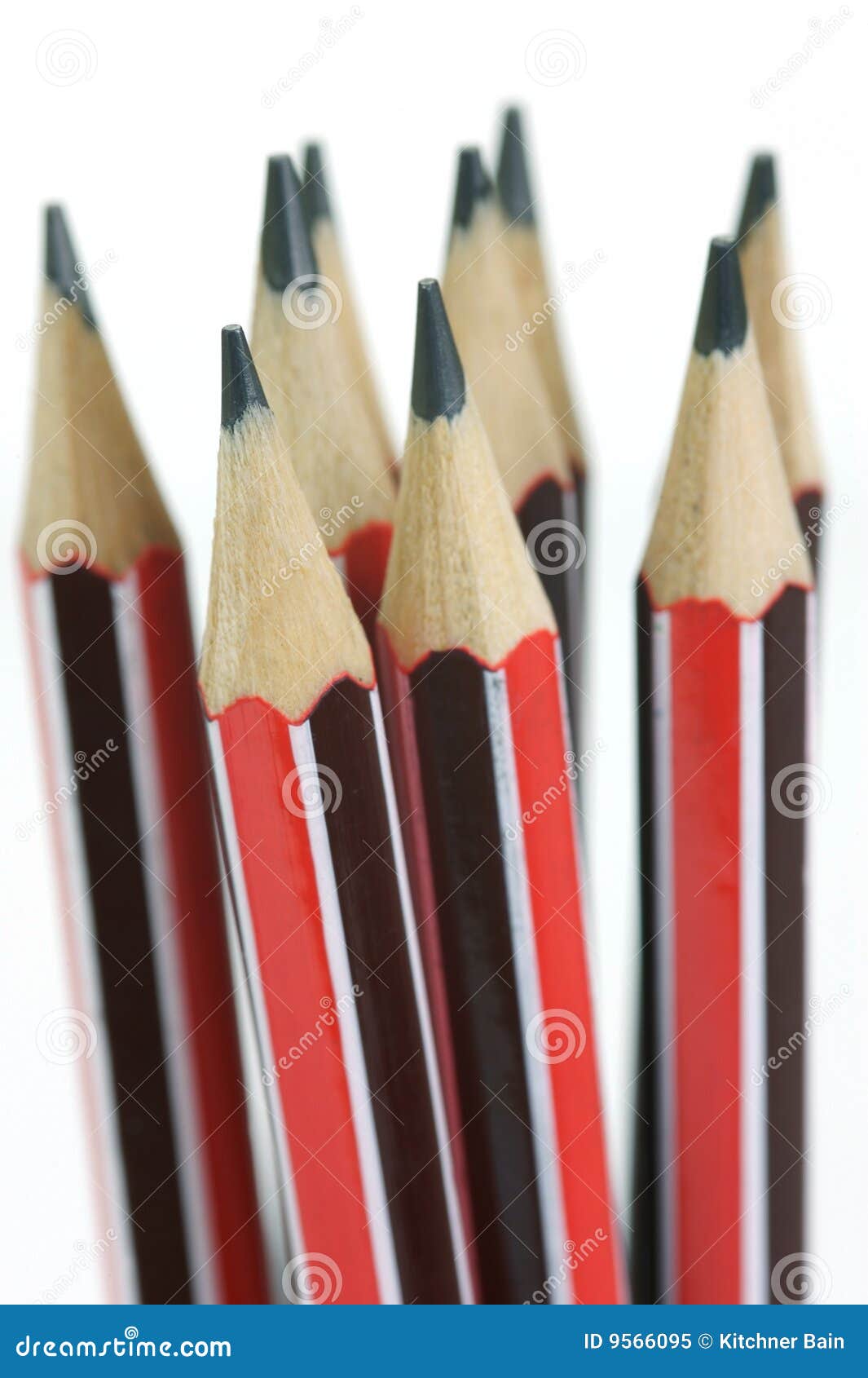 Pencil pics