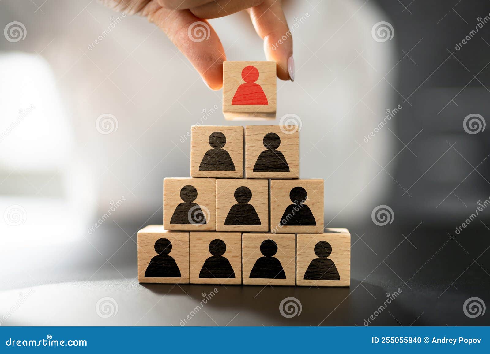 Leader Stacking Blocks stock photo. Image of female 255055840