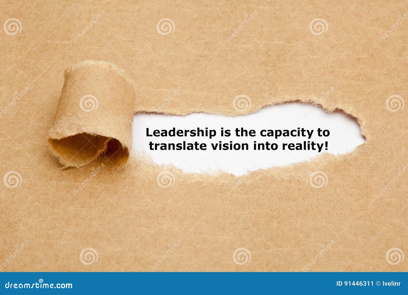 leadership is the capacity to translate vision into reality