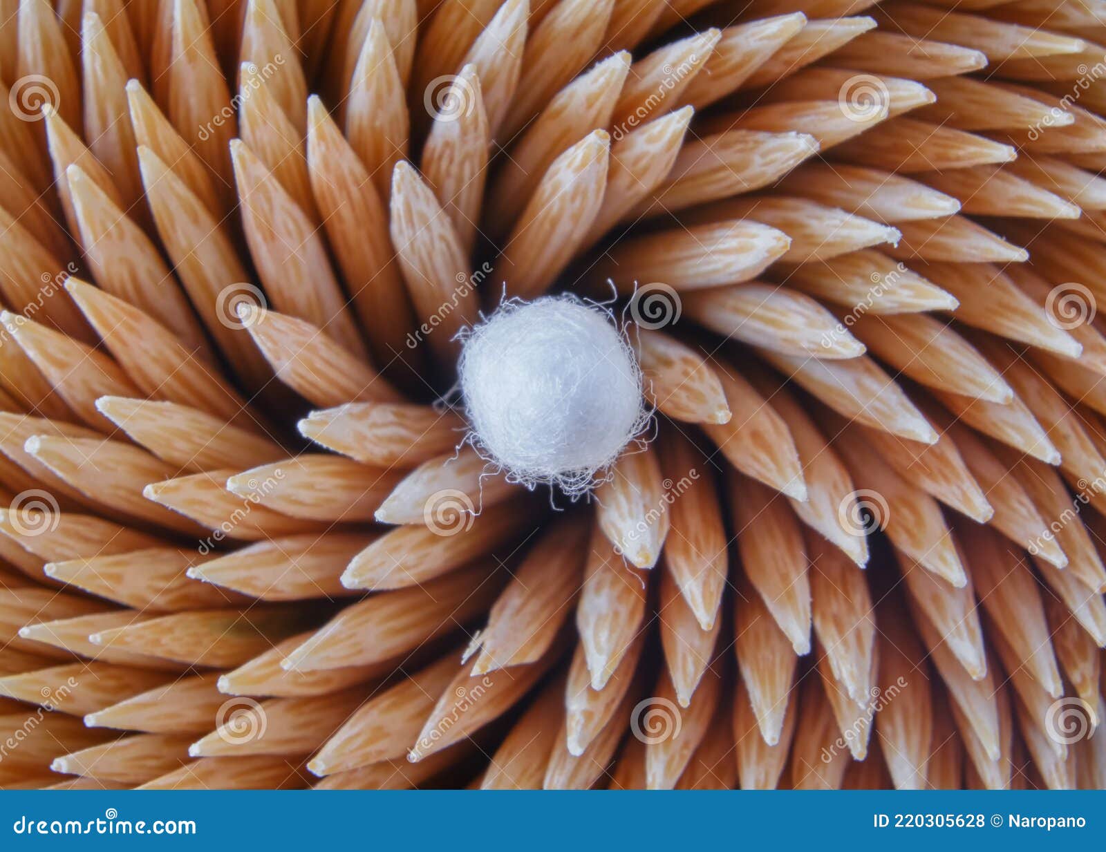 Leadership Concept, Cotton Swab in the Midst of Toothpick Stock Photo