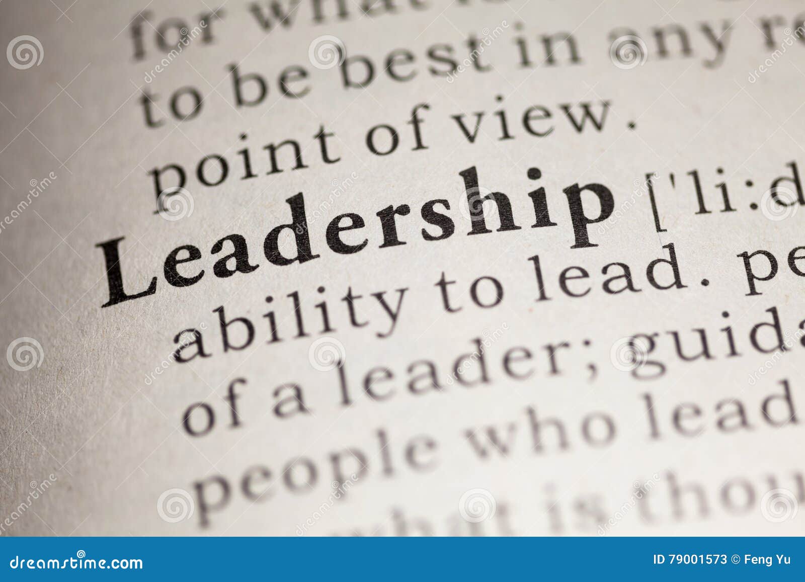 Leadership stock image. Image of definition, descriptive 79001573