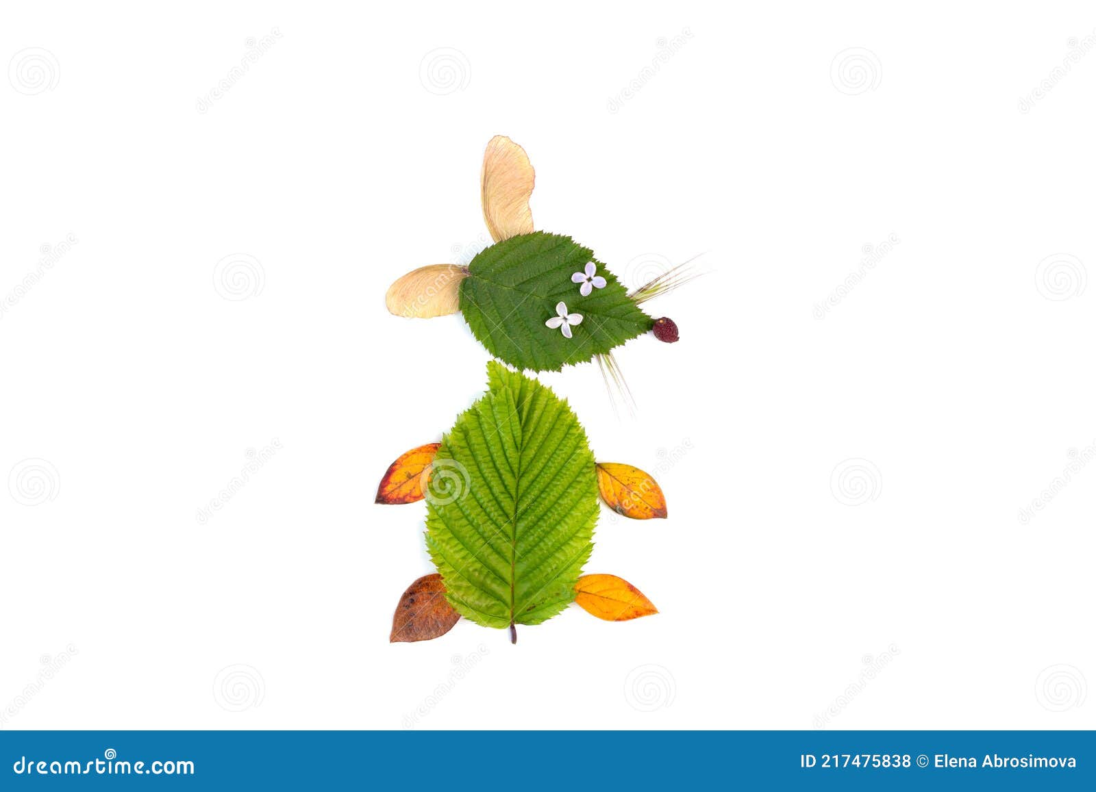 DIY Dry Leaf Clip-art for Kids, Tutorial Stock Photo - Image of lesson,  handmade: 217475838