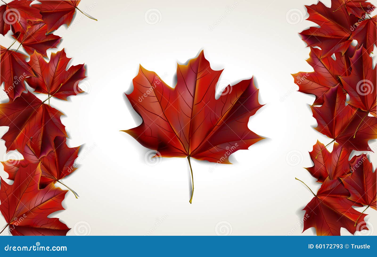 Leaf background stock vector. Illustration of autumn - 60172793