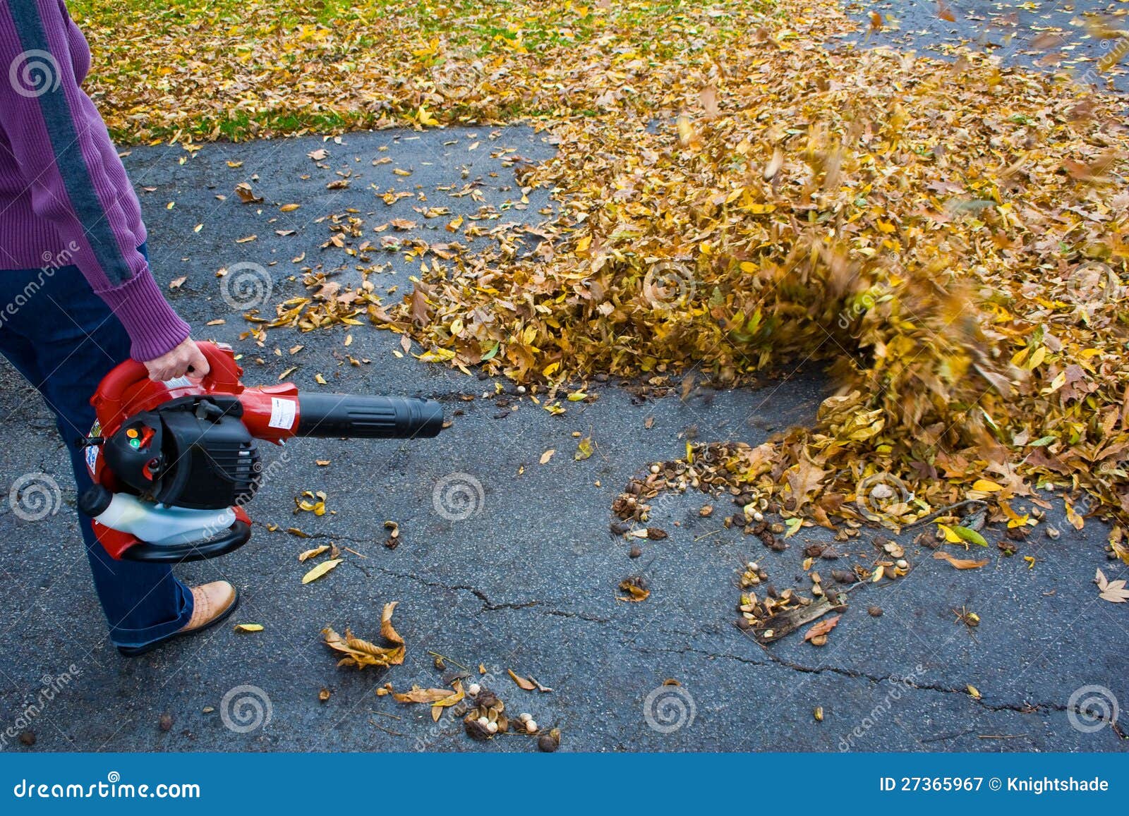 Leaf blowing stock image. Image of clearing, harvest 27365967