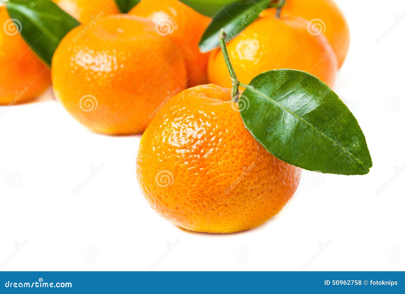 Leaf clementines stock photo. Image of area, organic 50962758