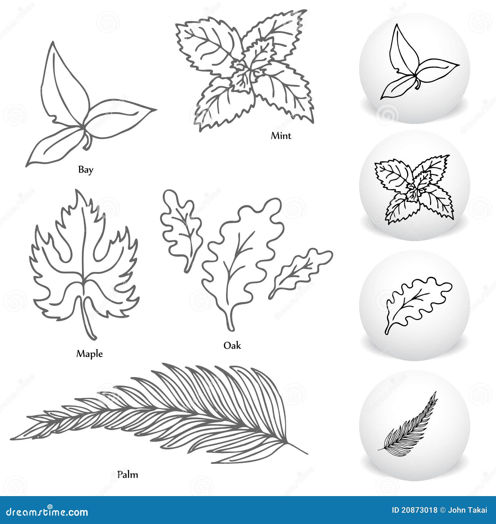 Simple Branch Leaves Drawing Stock Illustrations – 19,786 Simple Branch Leaves  Drawing Stock Illustrations, Vectors & Clipart - Dreamstime
