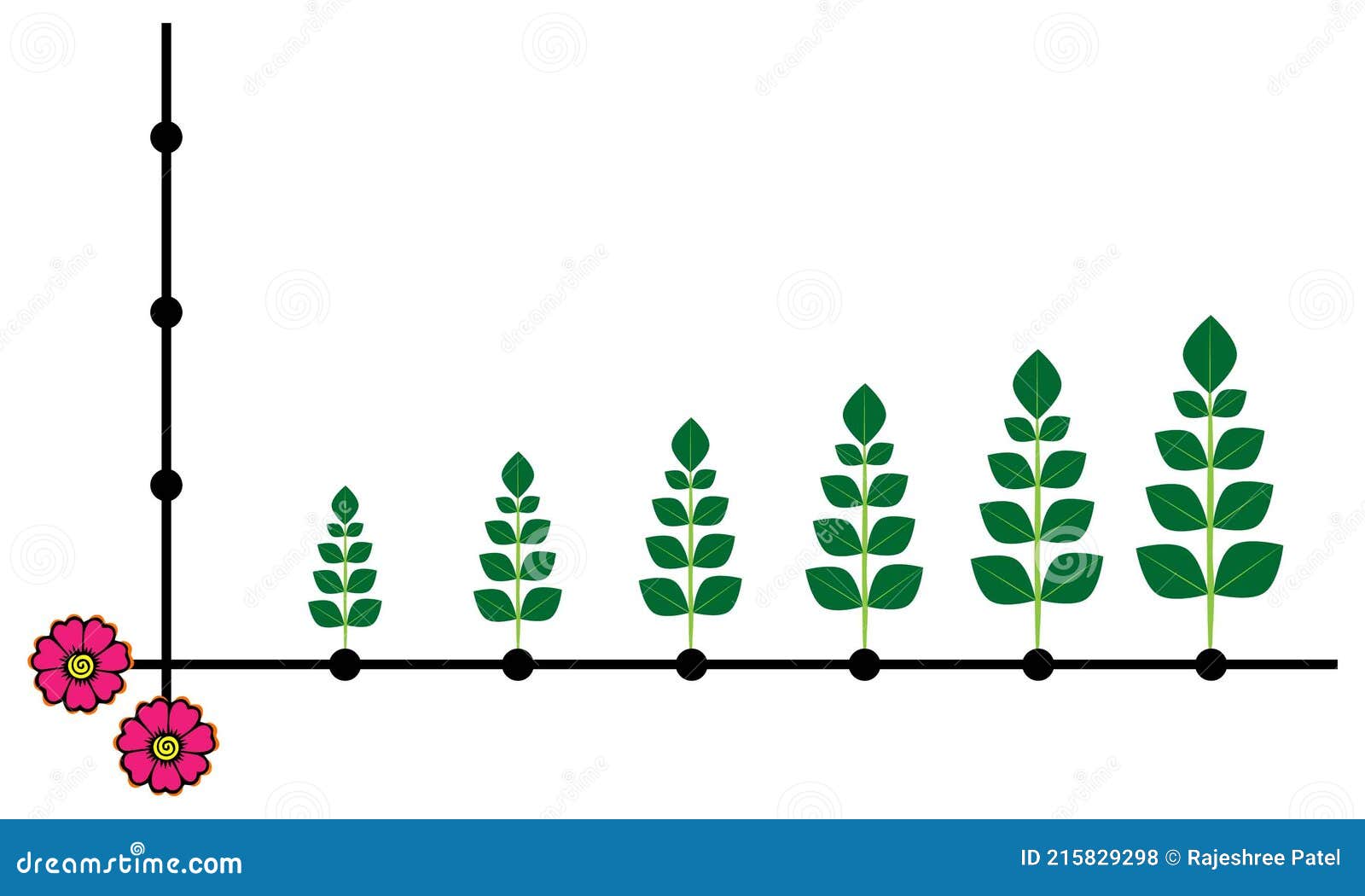 Flourish Growth Bar Graph Diagram Using Leaf Stem And Pattern Lines. Cartoon Vector