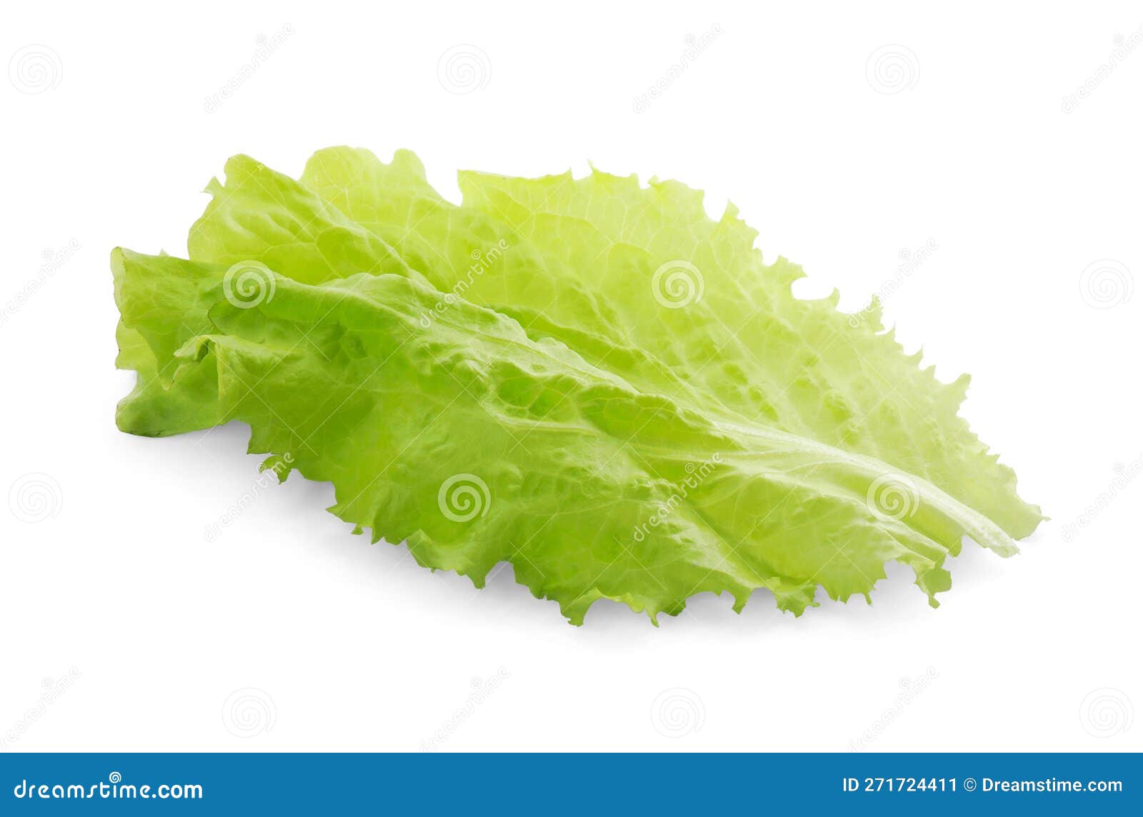 Leaf of Fresh Lettuce for Burger Isolated on White Stock Image Image