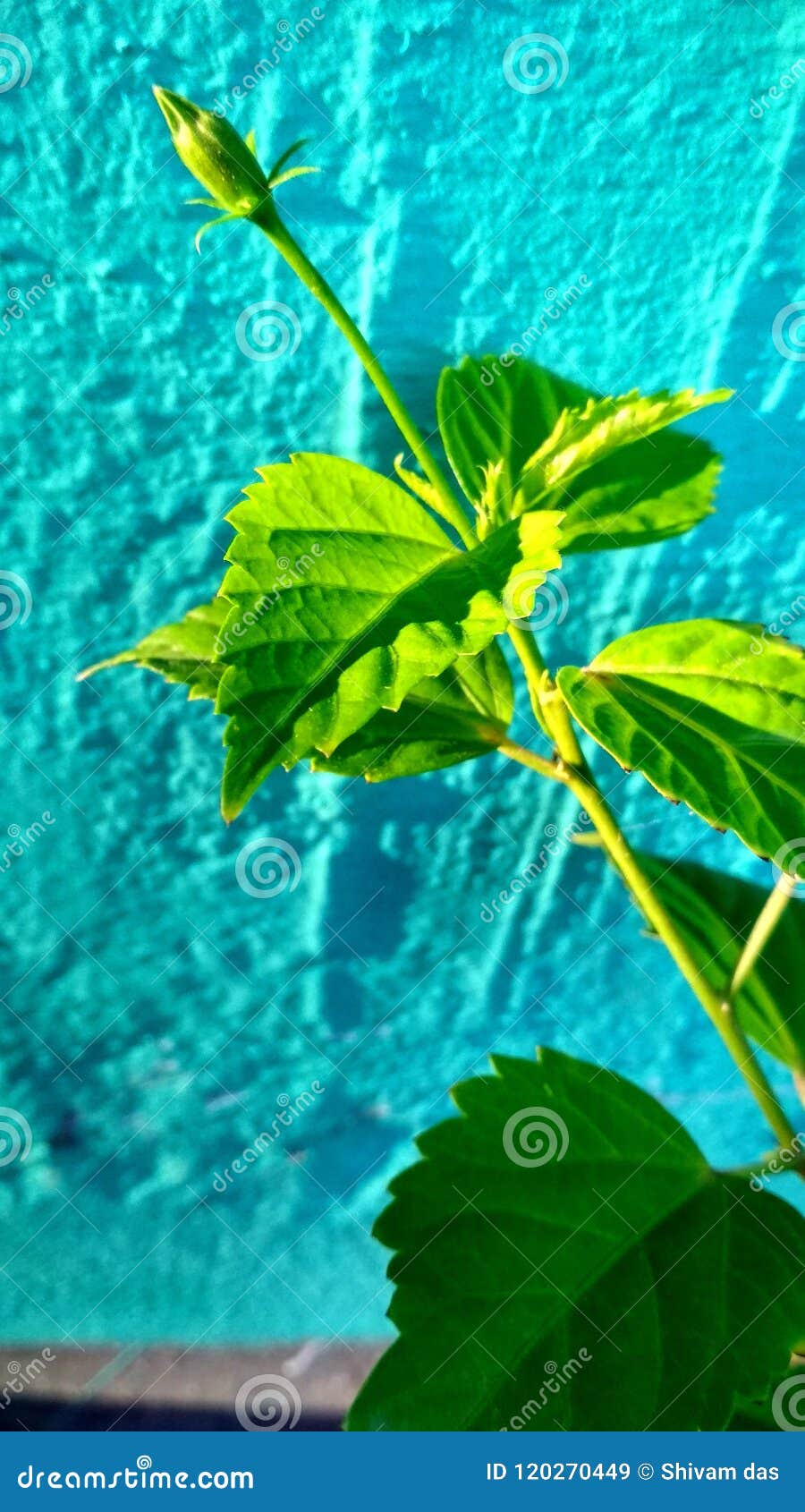 Best Hd Wallpaper For Smartphone