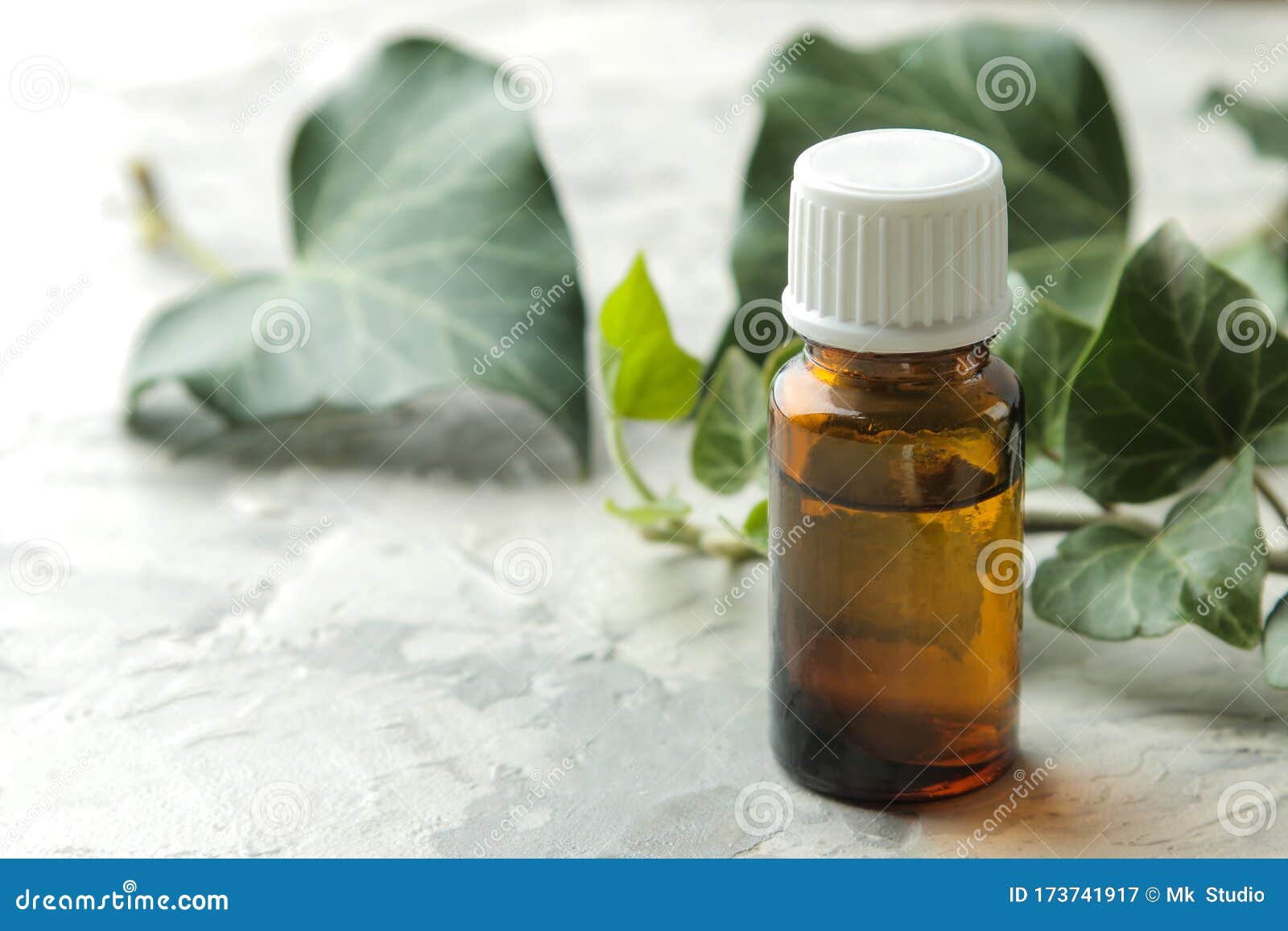 A Leaf of Ivy and Syrup in a Bottle on a Light Concrete Table ...