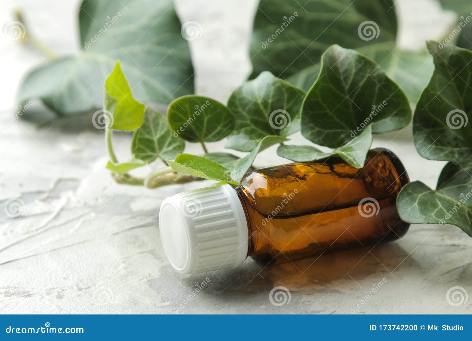 A Leaf of Ivy and Syrup in a Bottle on a Light Concrete Table ...