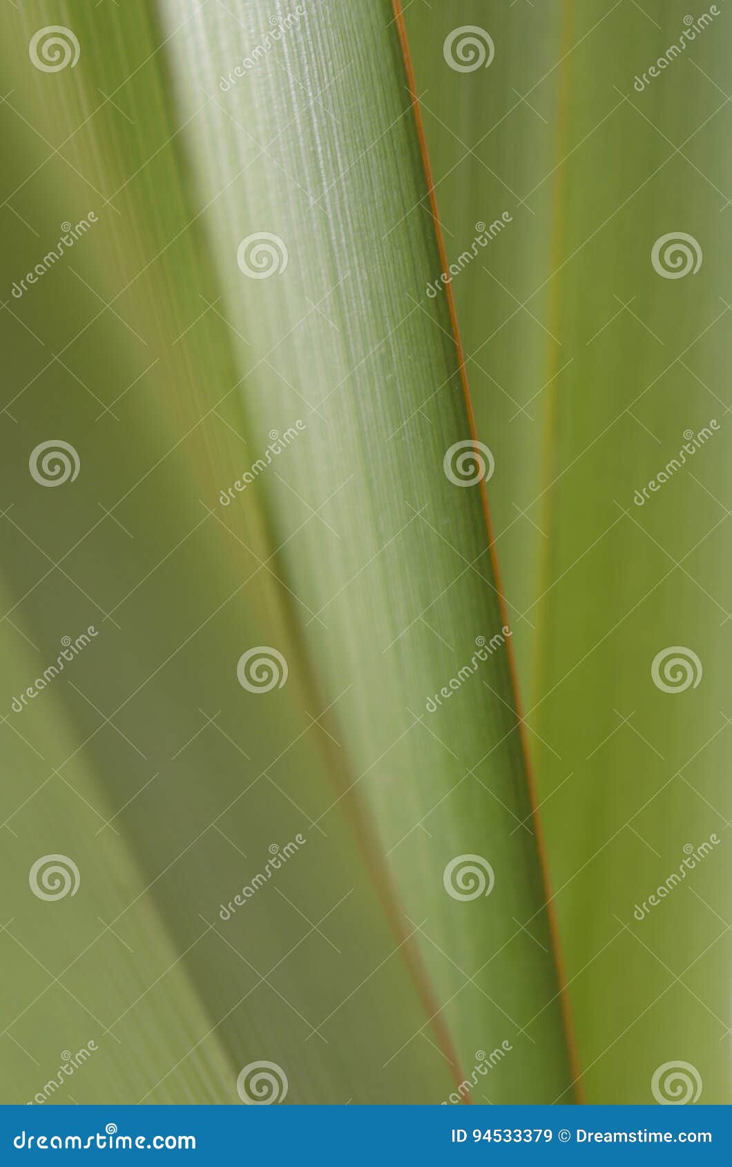 leaf macro