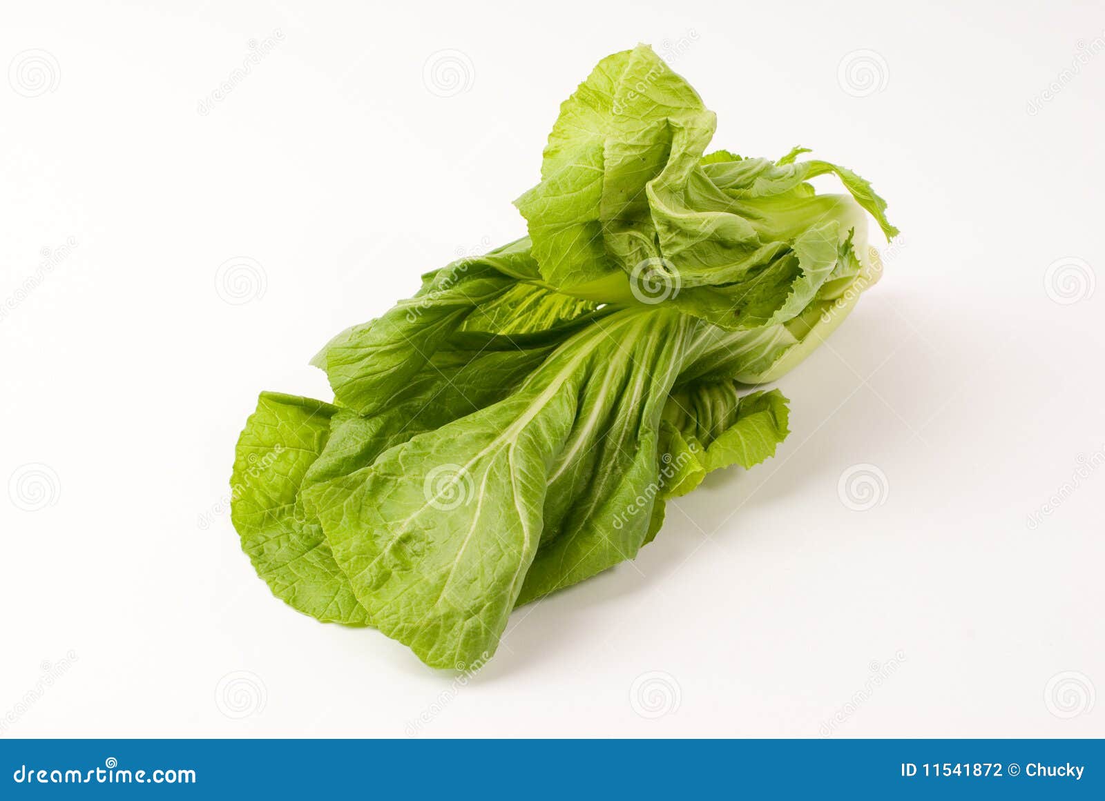 Leaf mustard stock photo. Image of green, care, isolated 11541872