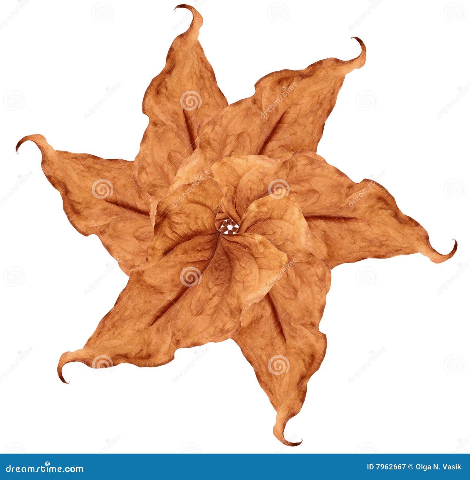 Leaf Patern Printable