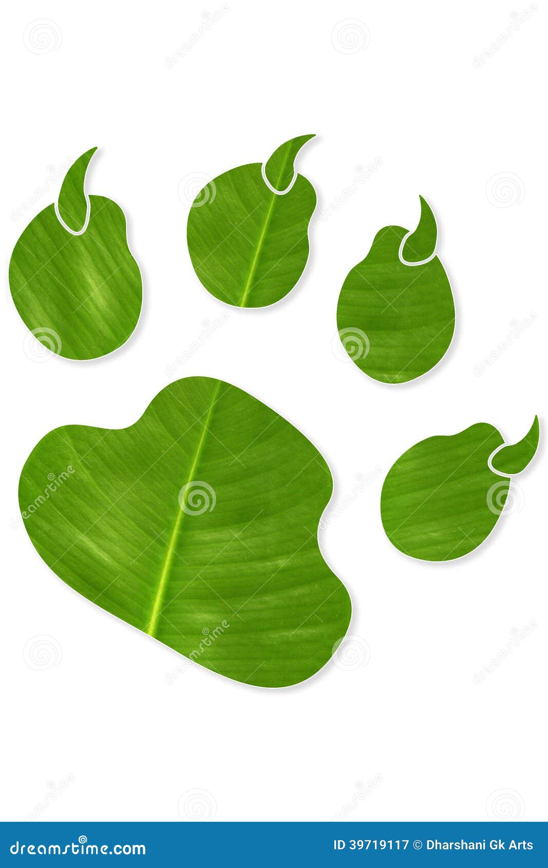 Leaf Paw Print Stock Illustration Image 39719117