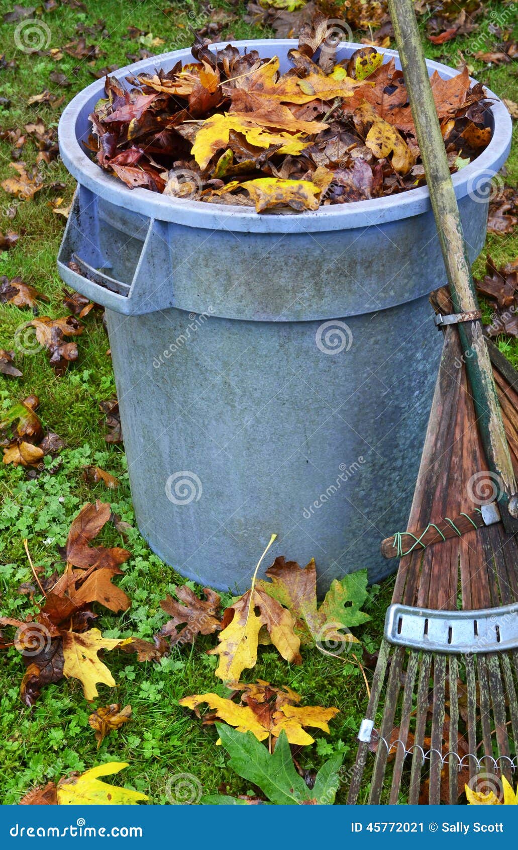 Leaf pickup stock image. Image of pickup, rust, rake 45772021