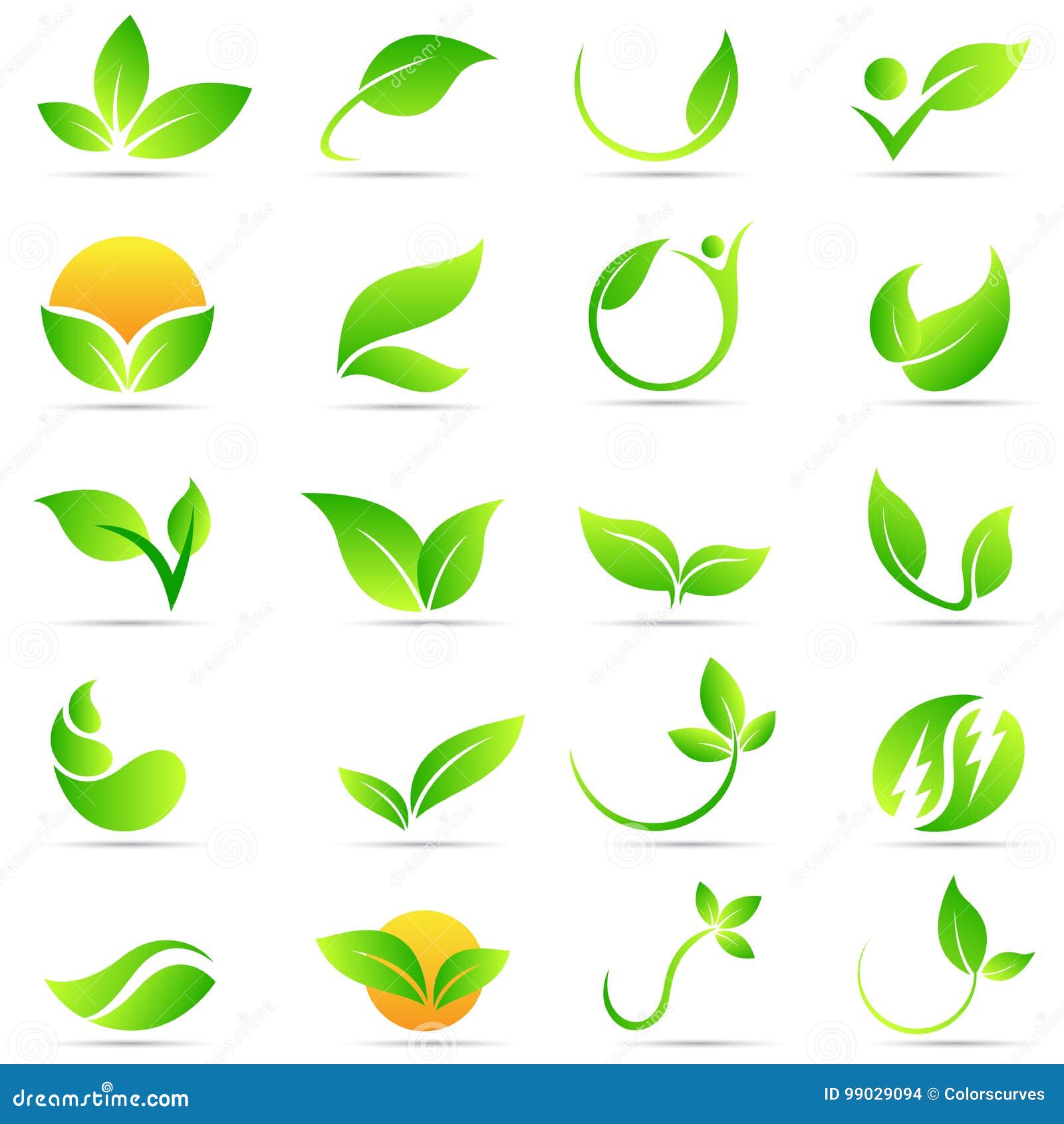 Premium Vector  Green leaf nature plant conceptual symbol vector