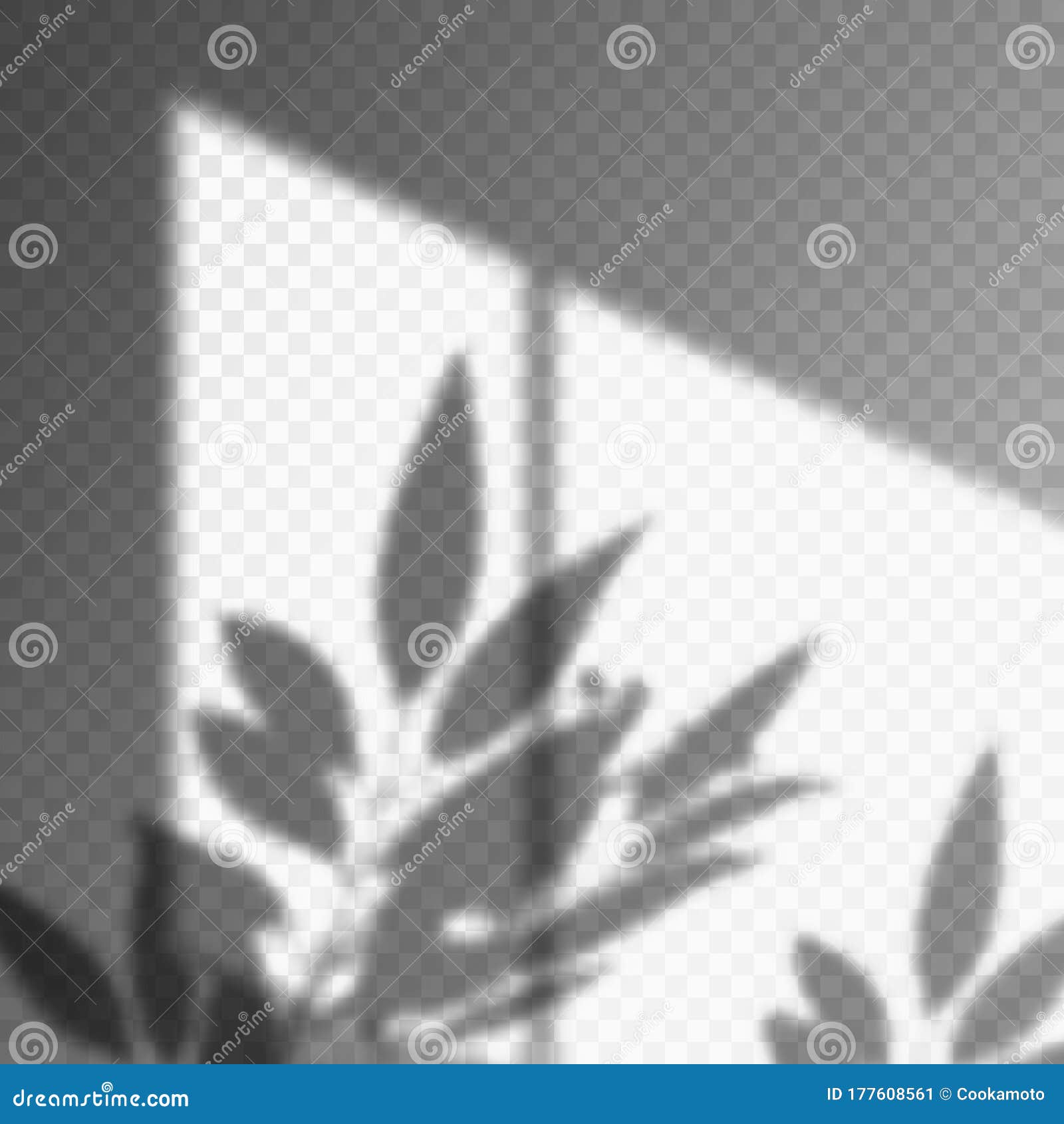 leaf or plant shadow on transparent background