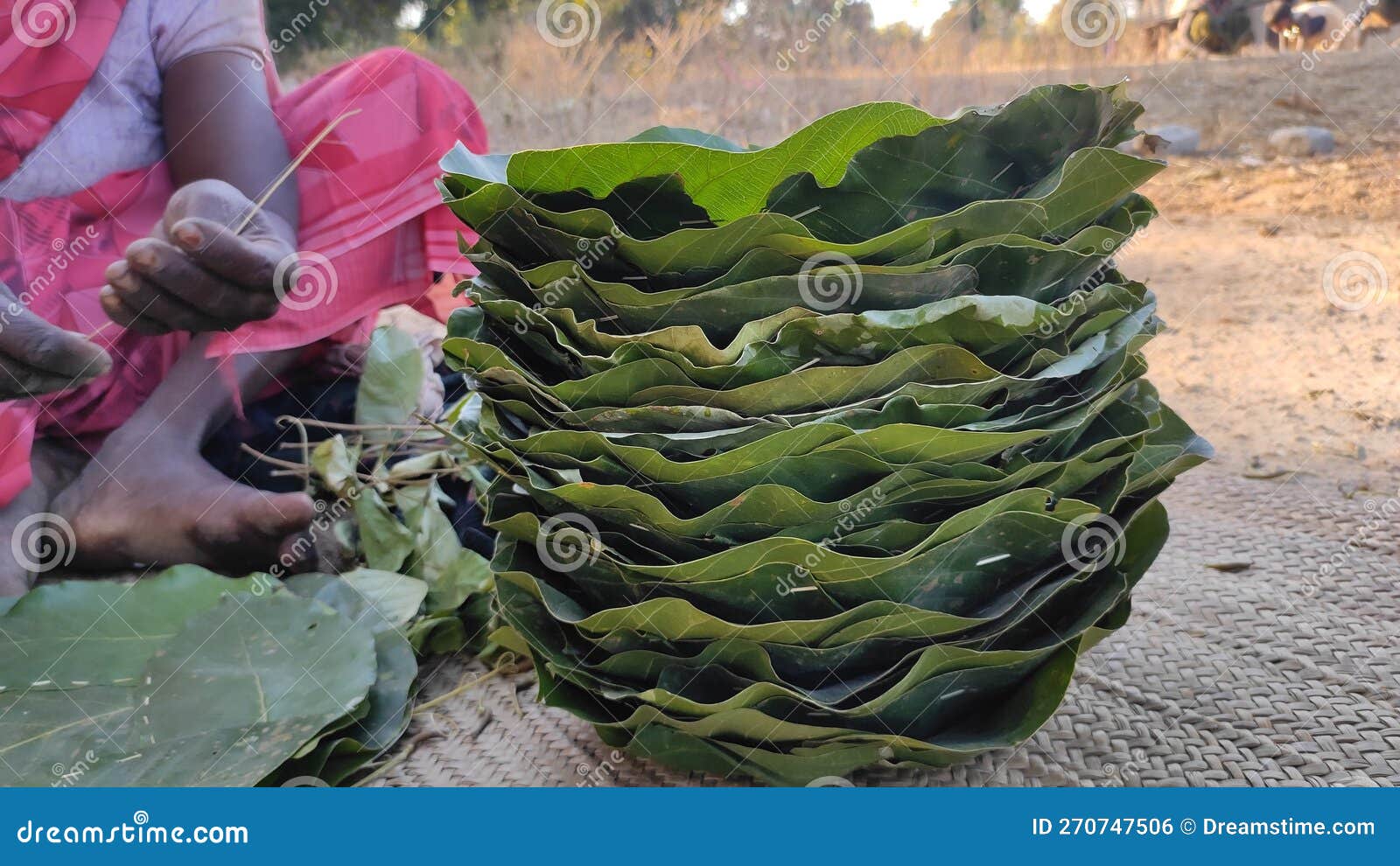 Leaf Plates Prepared and Kept Ready for Serving Stock Photo Image of