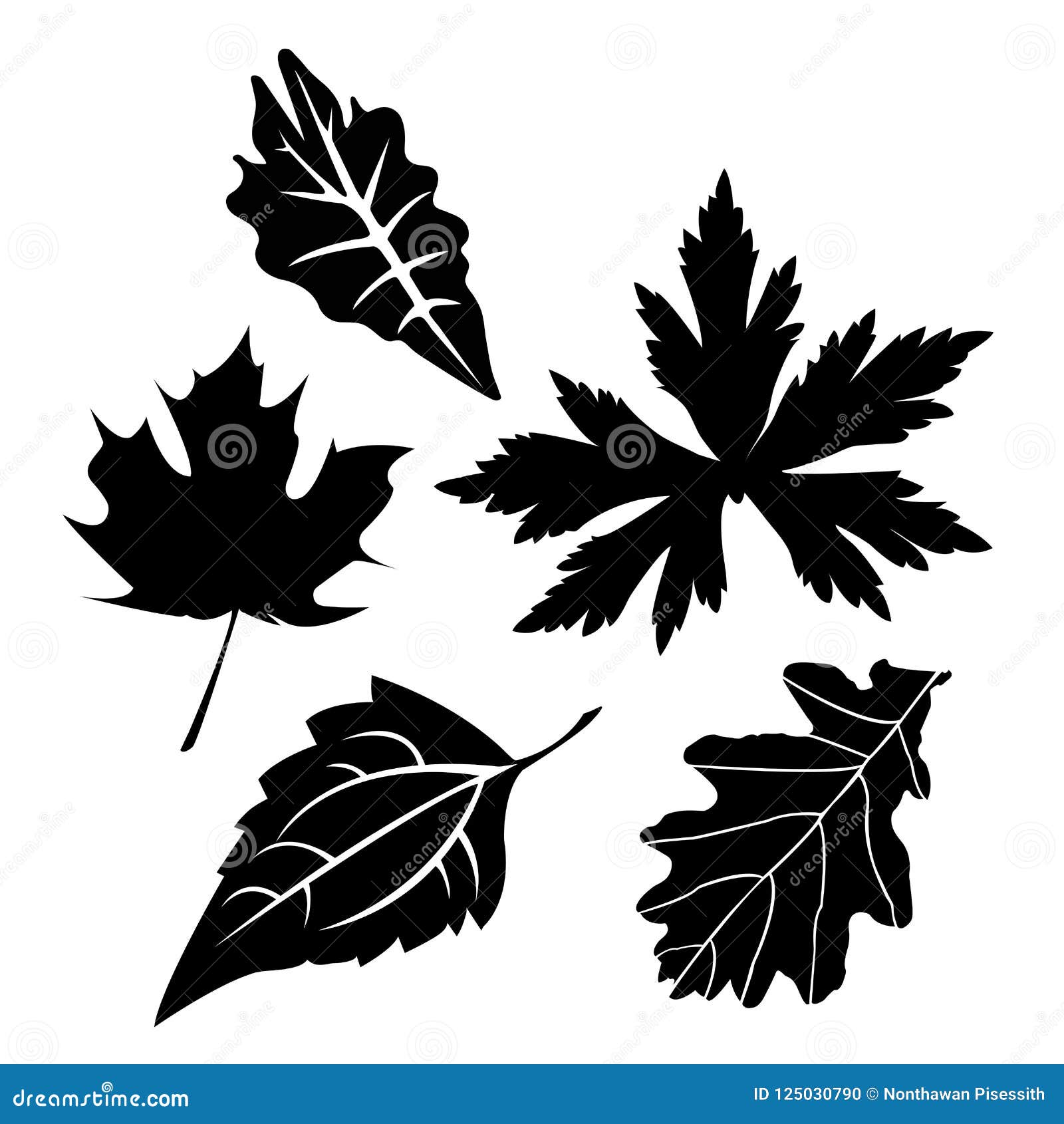 Leaf Set Silhouette Vector on White Background, Leaves, Plants Stock ...