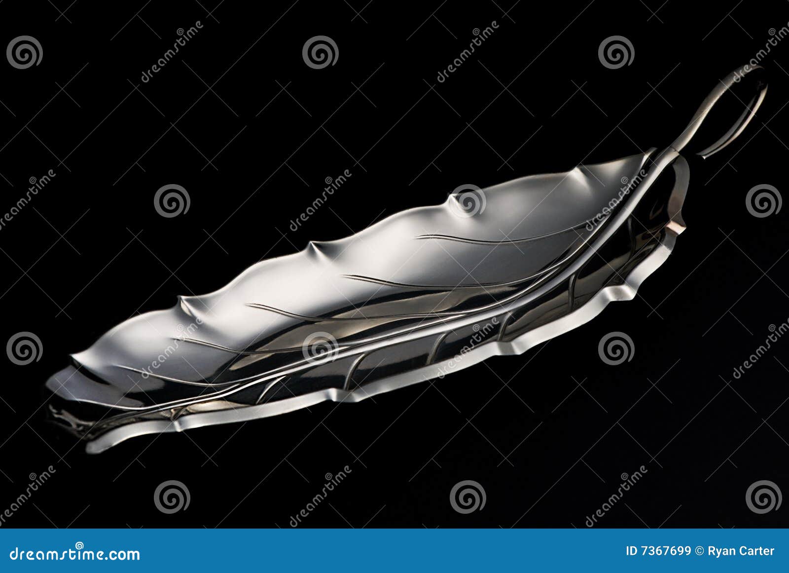 Leaf shaped Serving tray stock image. Image of serve, tray 7367699