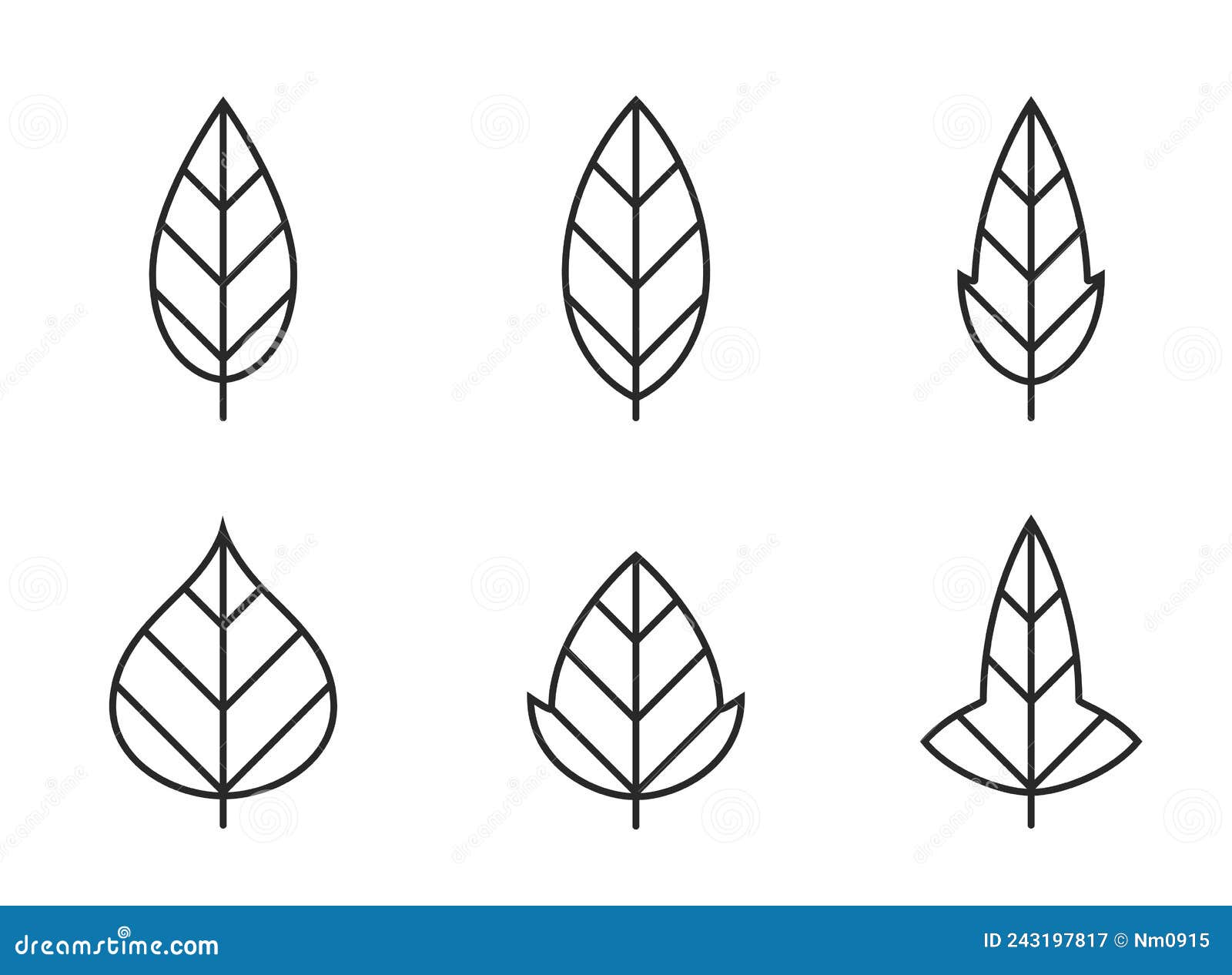 leaf s line icon set. botanical, nature and environment 