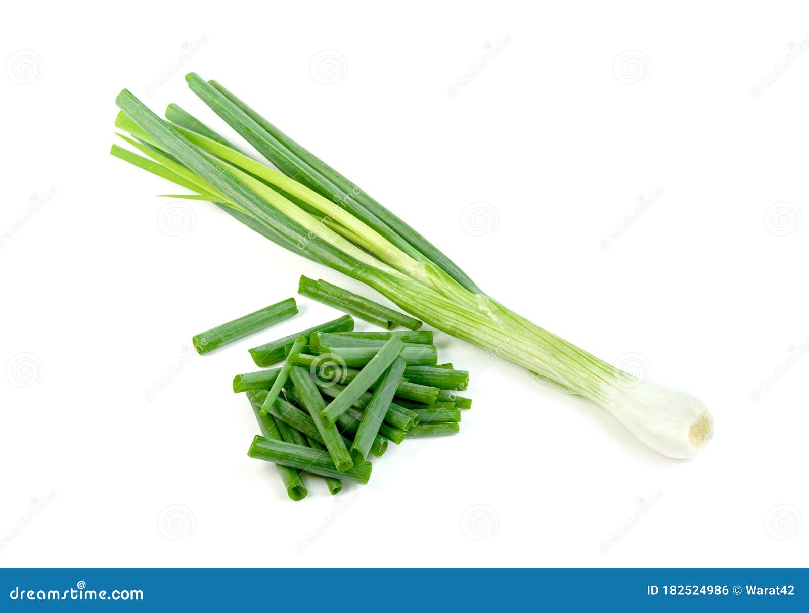 Leaf Spring Onion Isolated on White Background ,Green Leaves Pattern