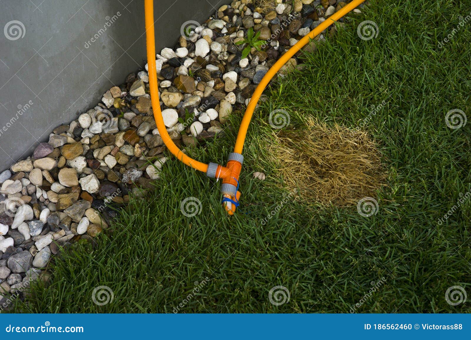 Leaking Hose and Damaged Valve Stock Photo Image of thinned, water