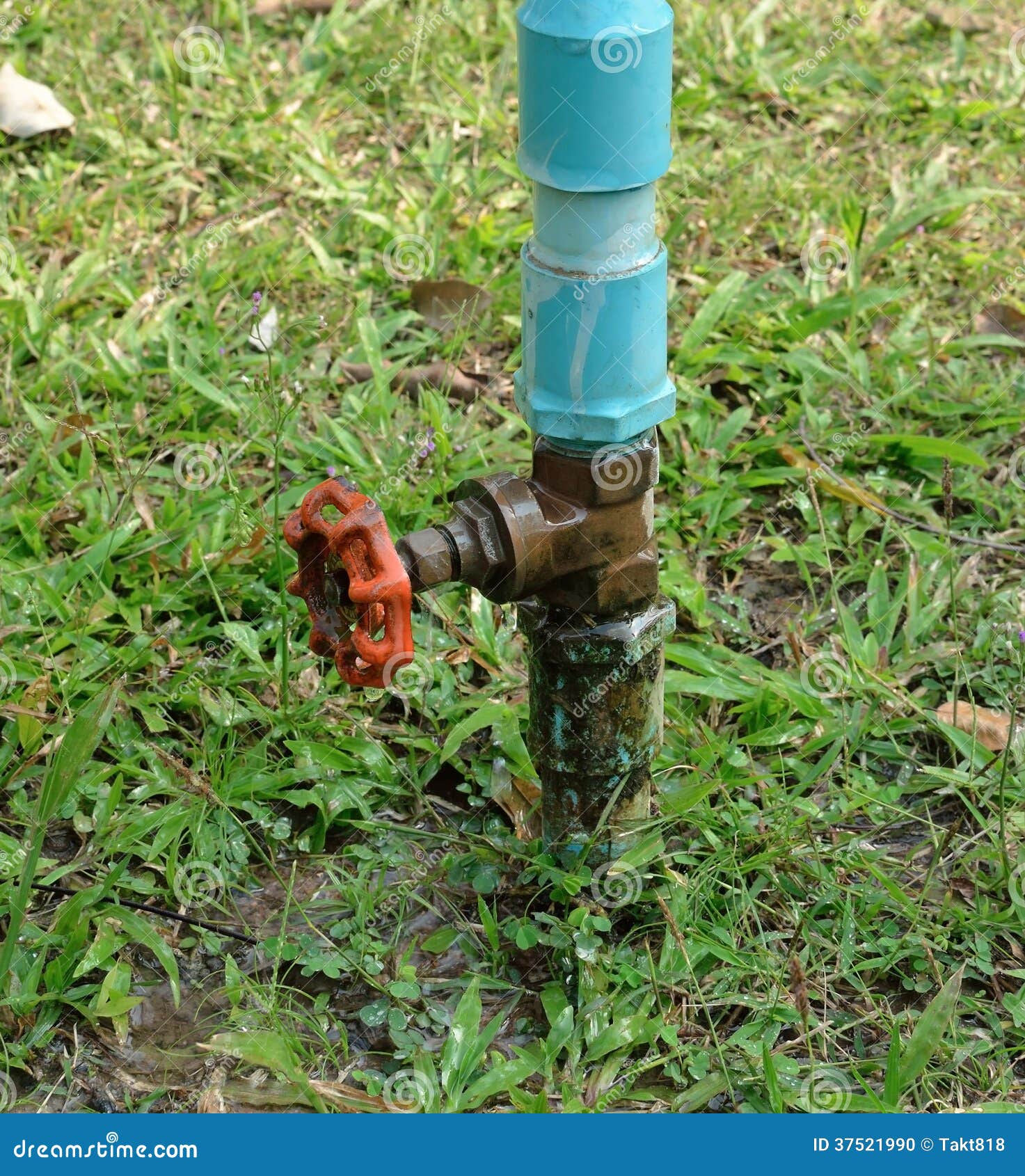 Leaking Valve Cover Royalty-Free Stock Image | CartoonDealer.com #243268642