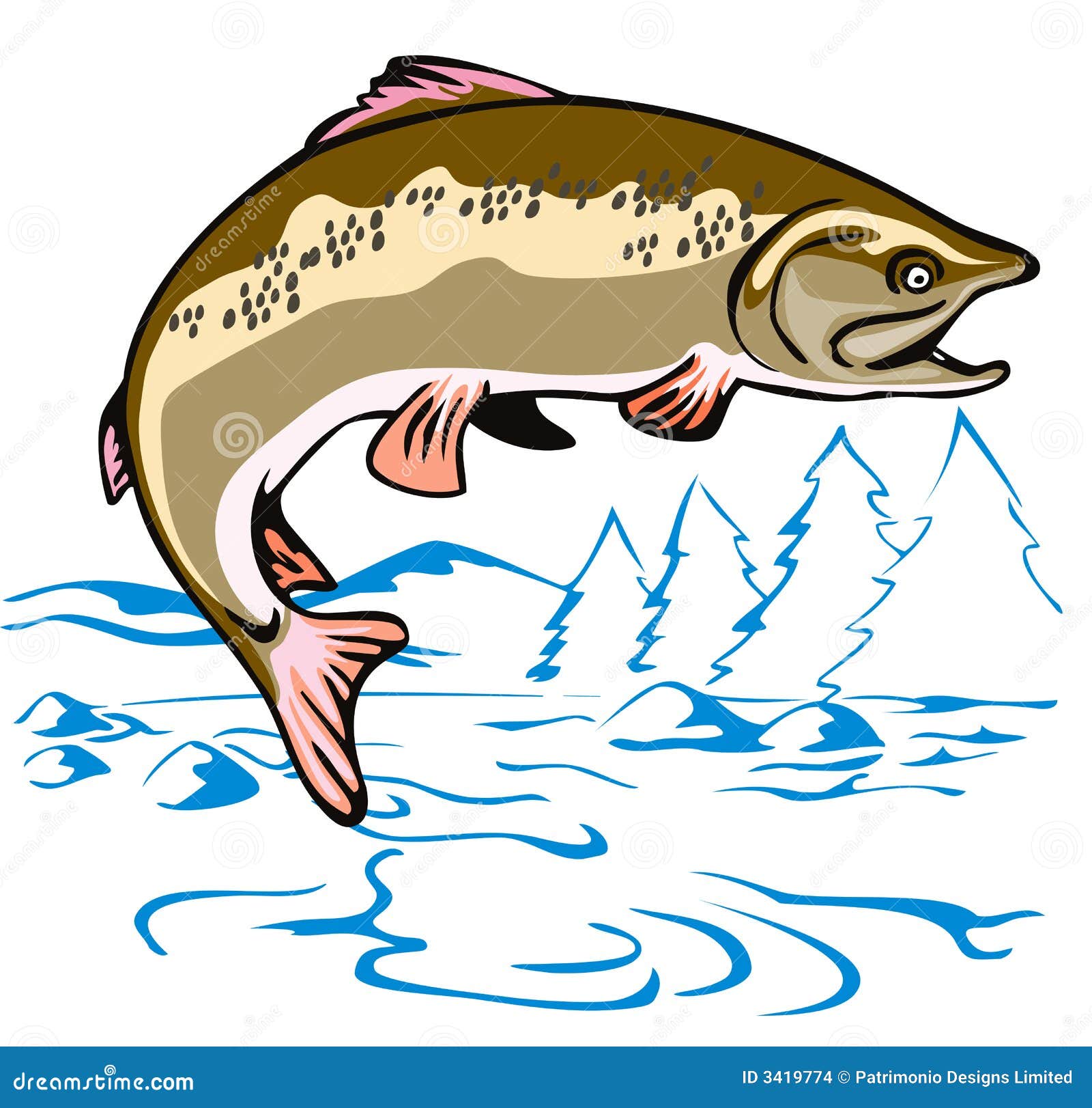 Leaping Brown Trout stock vector. Illustration of lake 3419774
