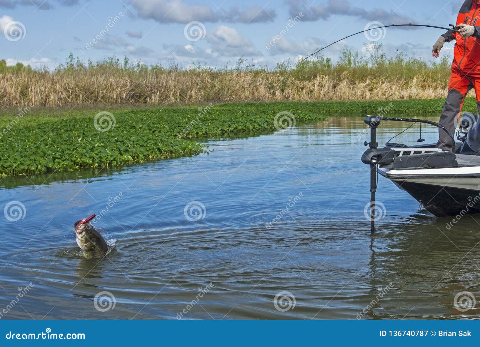 leaping largemouth bass and fisherman