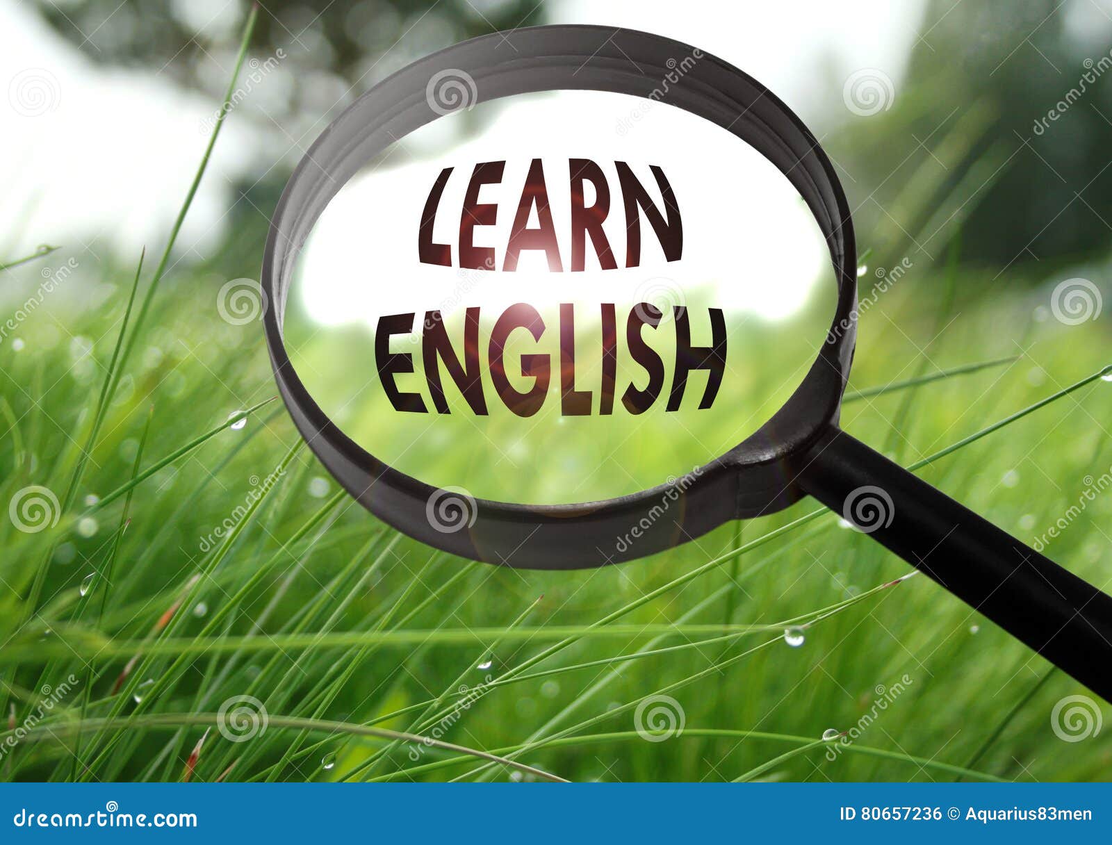 Learn english stock photo. Image of loupe, foreign, communicate 80657236