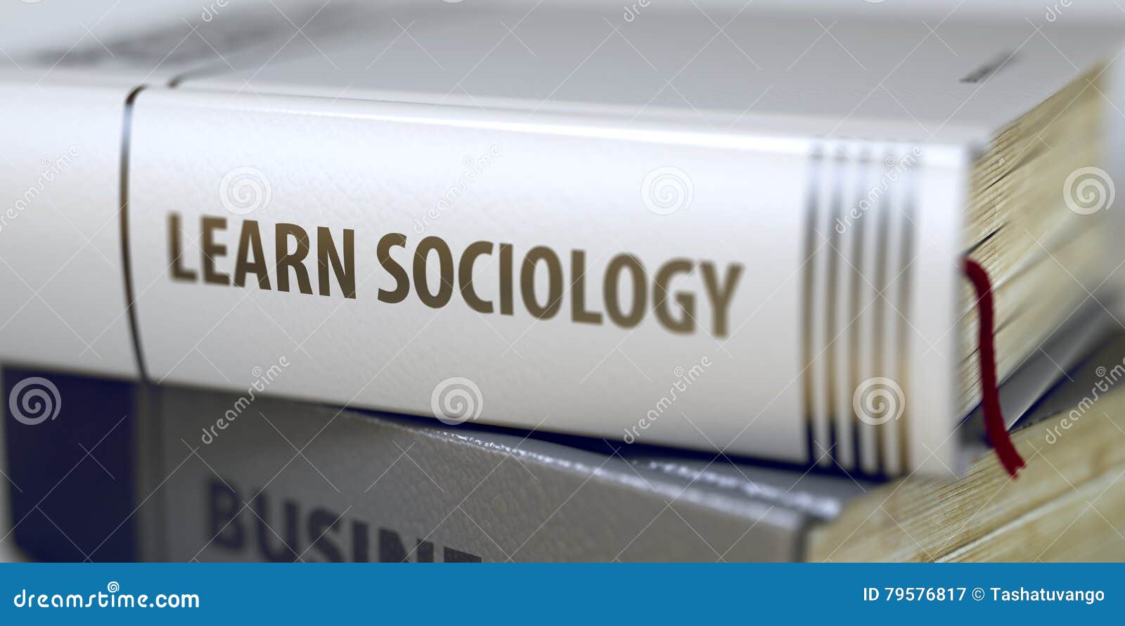 learn sociology - business book title. 3d.