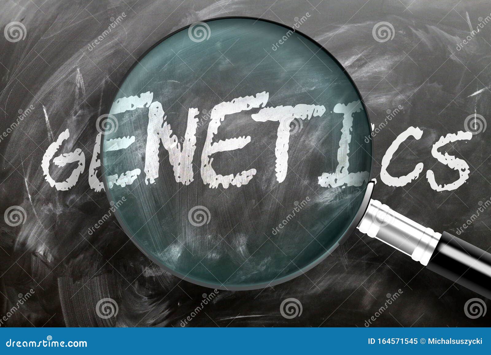 58,661 Study Glass Stock Photos - Free & Royalty-Free Stock Photos ...