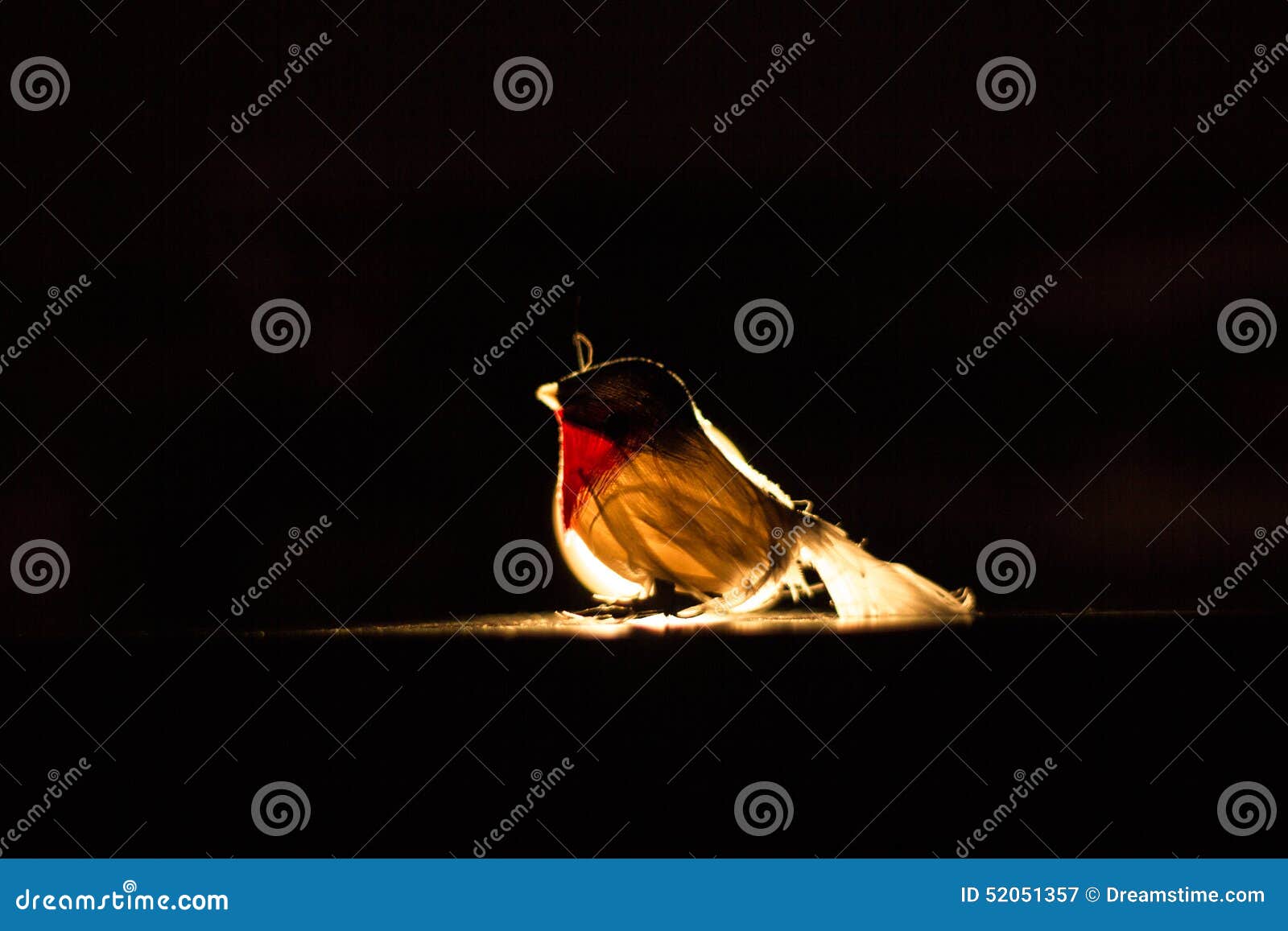 Learn to Fly stock image. Image of darkness, enlight - 52051357