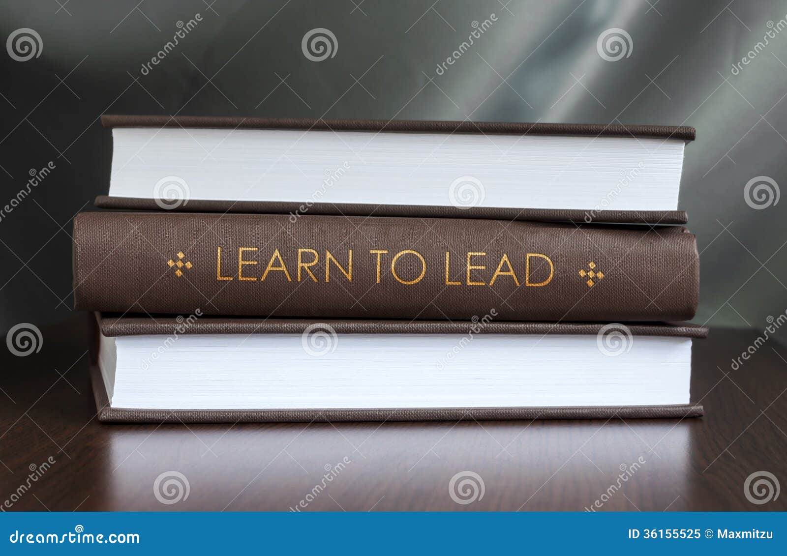 learn to lead book concept.