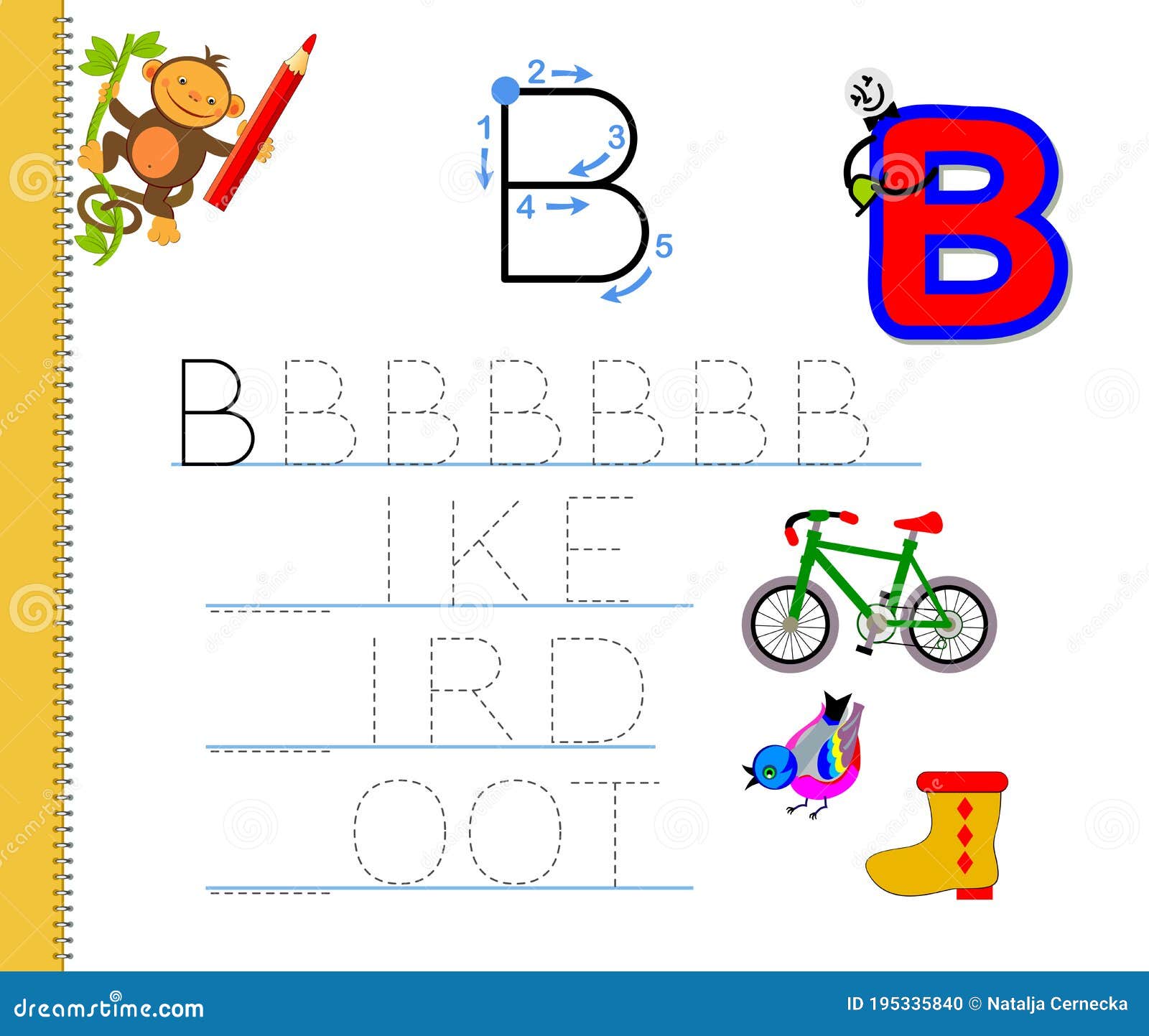 Letter B Words  Covoji Learning